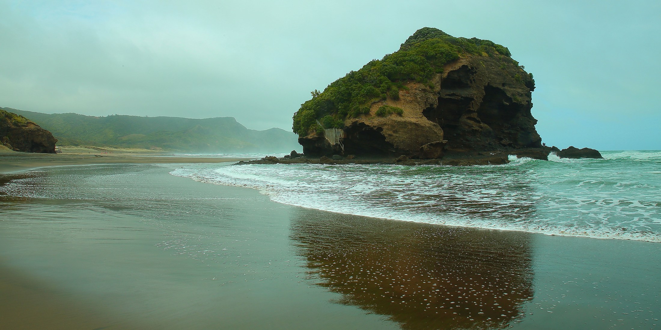 Te Henga,032d-.jpg