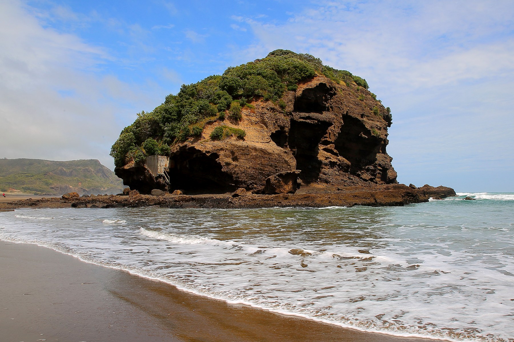 Te Henga,-171d.jpg