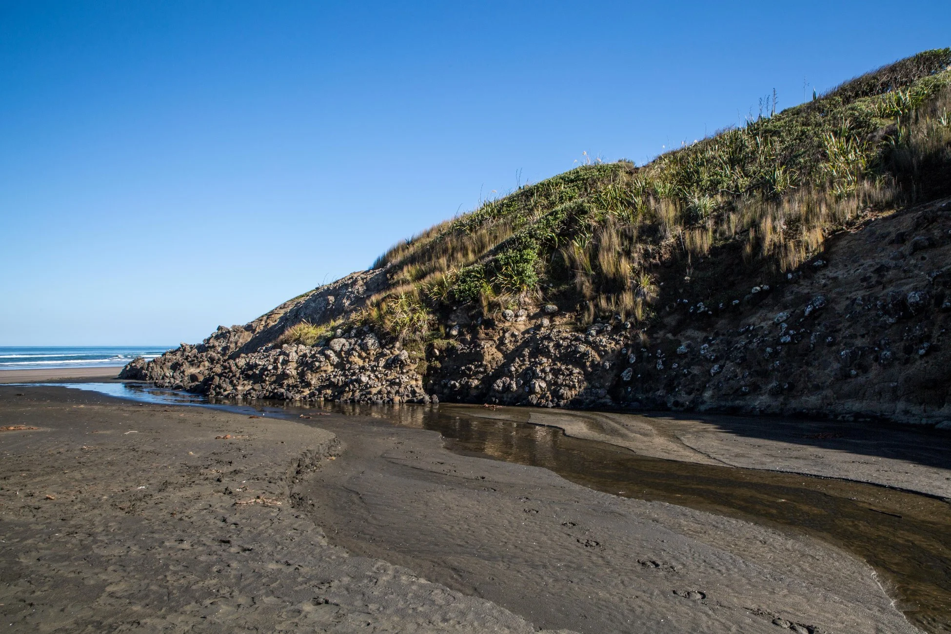 Te Henga,Bethels Beach,-4316d.jpg