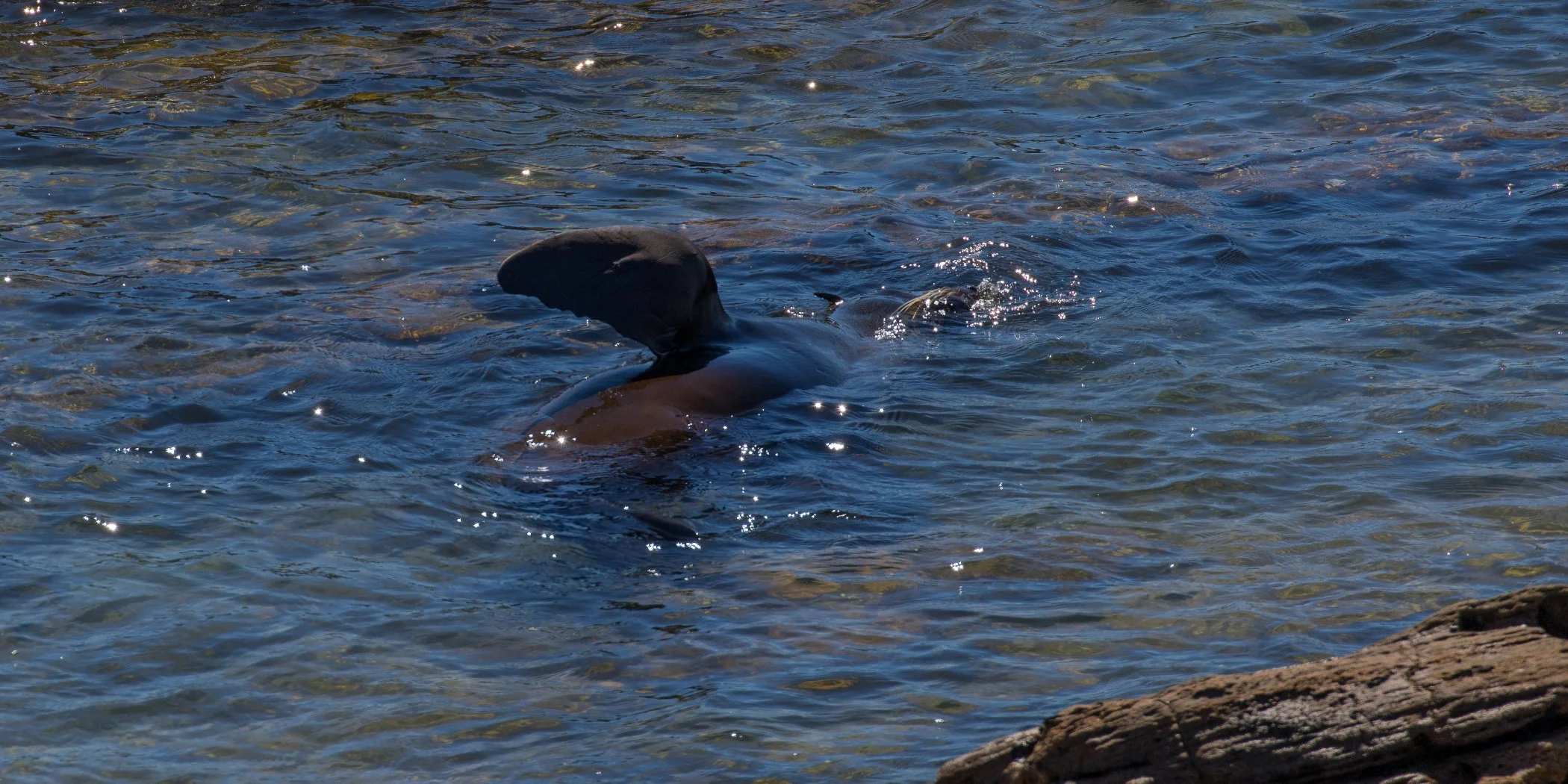 Mt Maunganui,-3170d.jpg