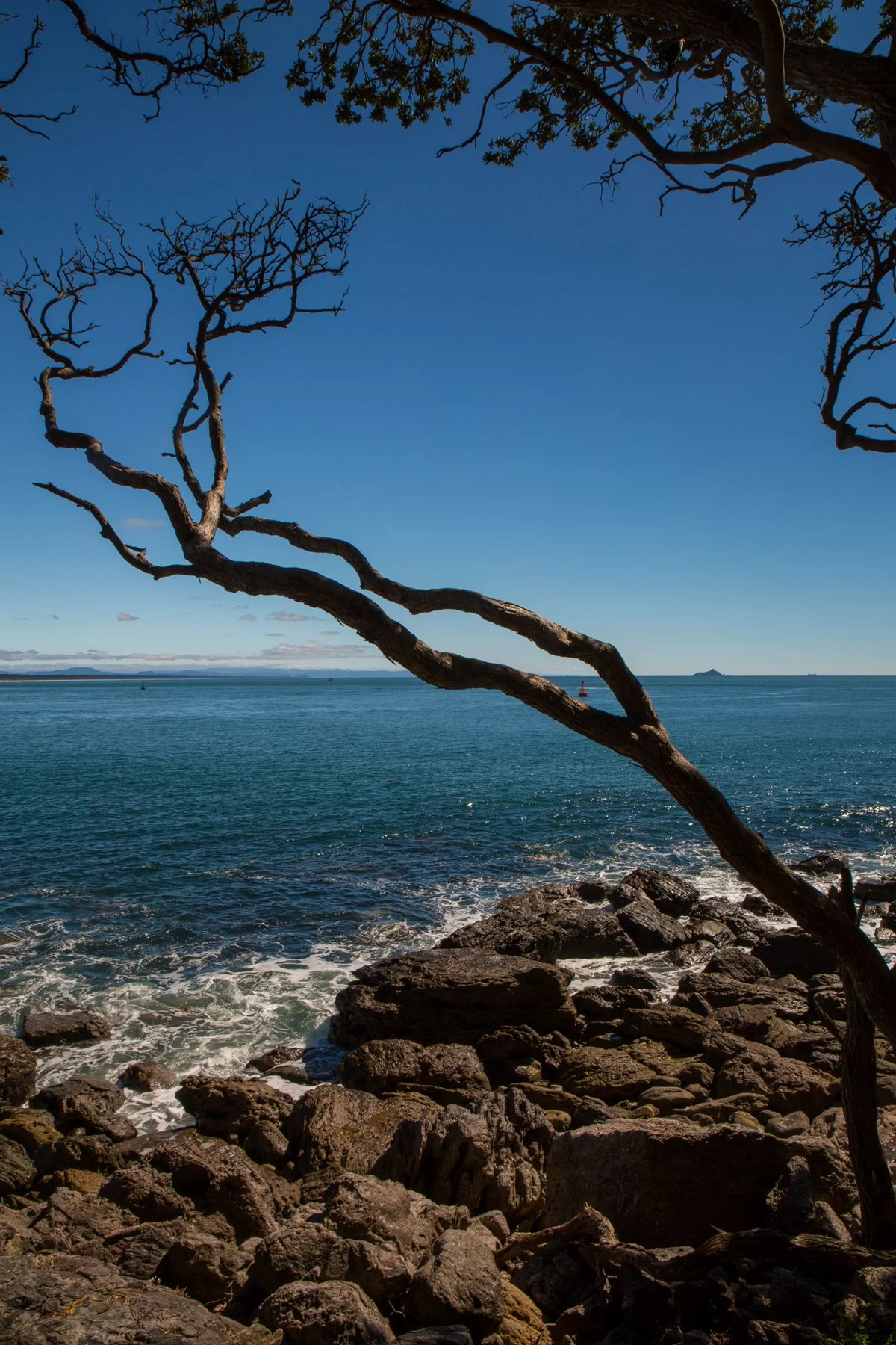 Mt Maunganui,-4540d.jpg