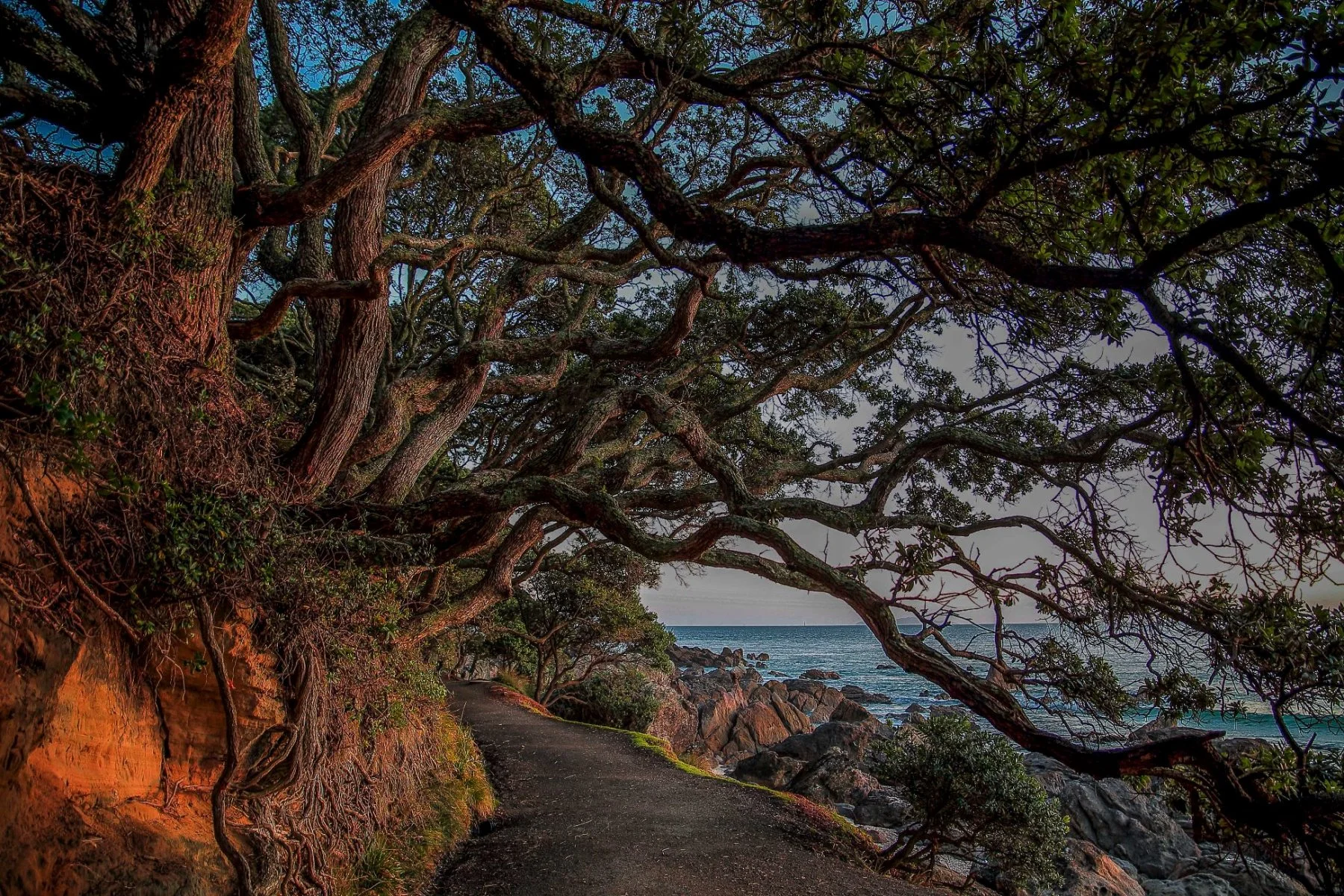 Mt Maunganui,d-156.jpg