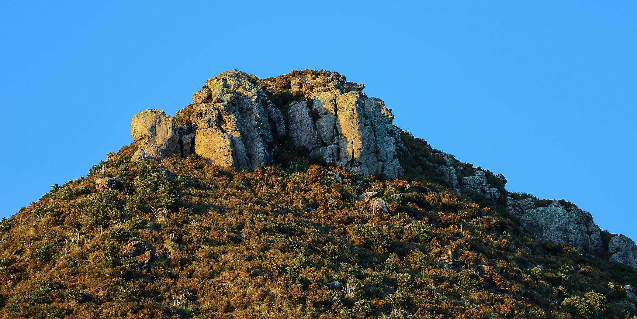 Mt Maunganui,d-170-.jpg