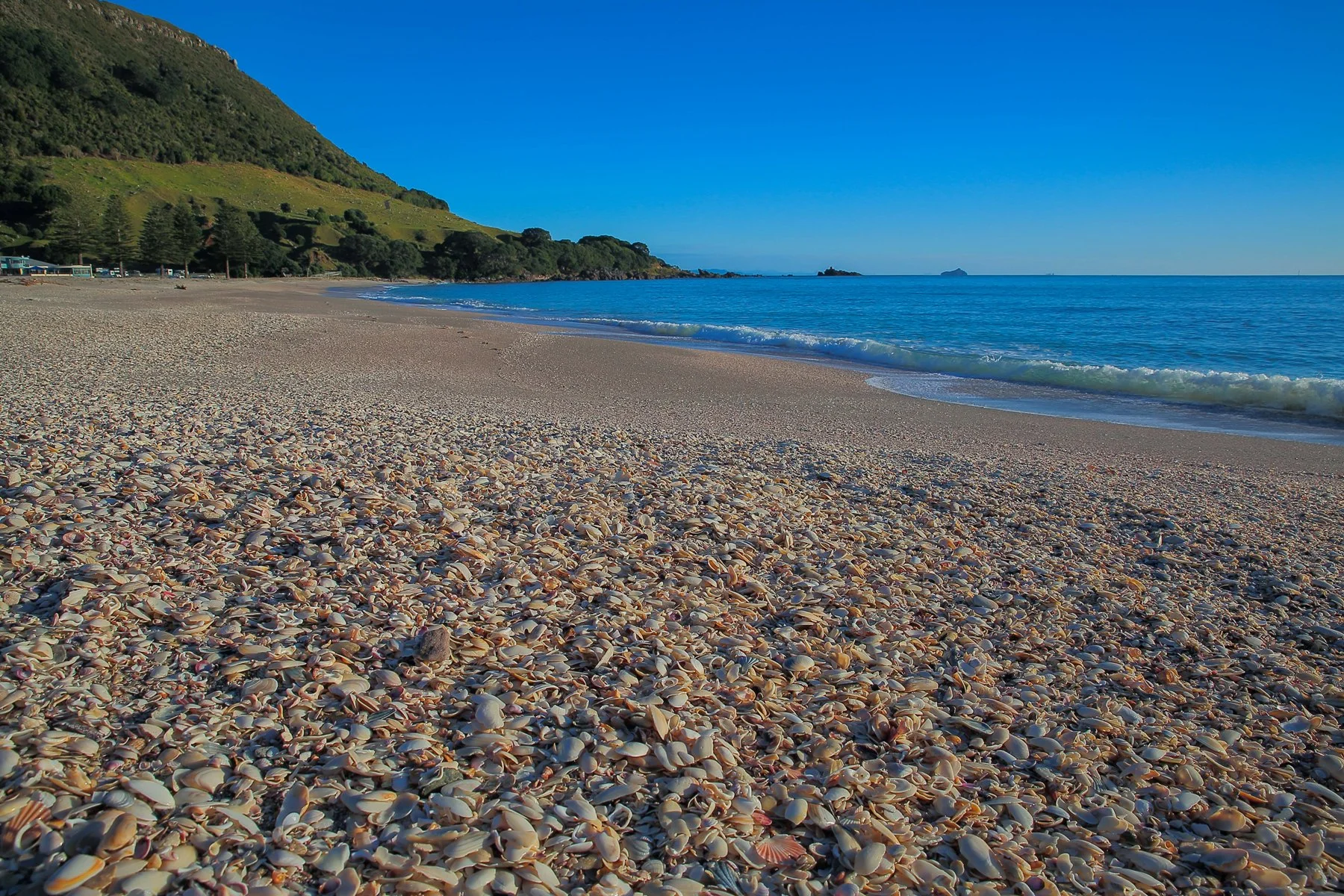 Mt Maunganui,d-236.jpg