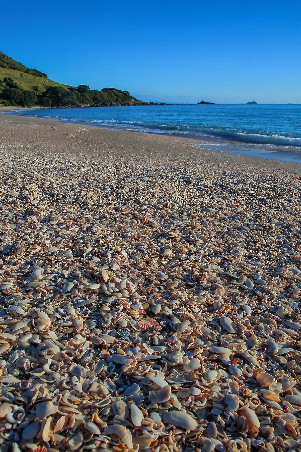 Mt Maunganui,d-237.jpg