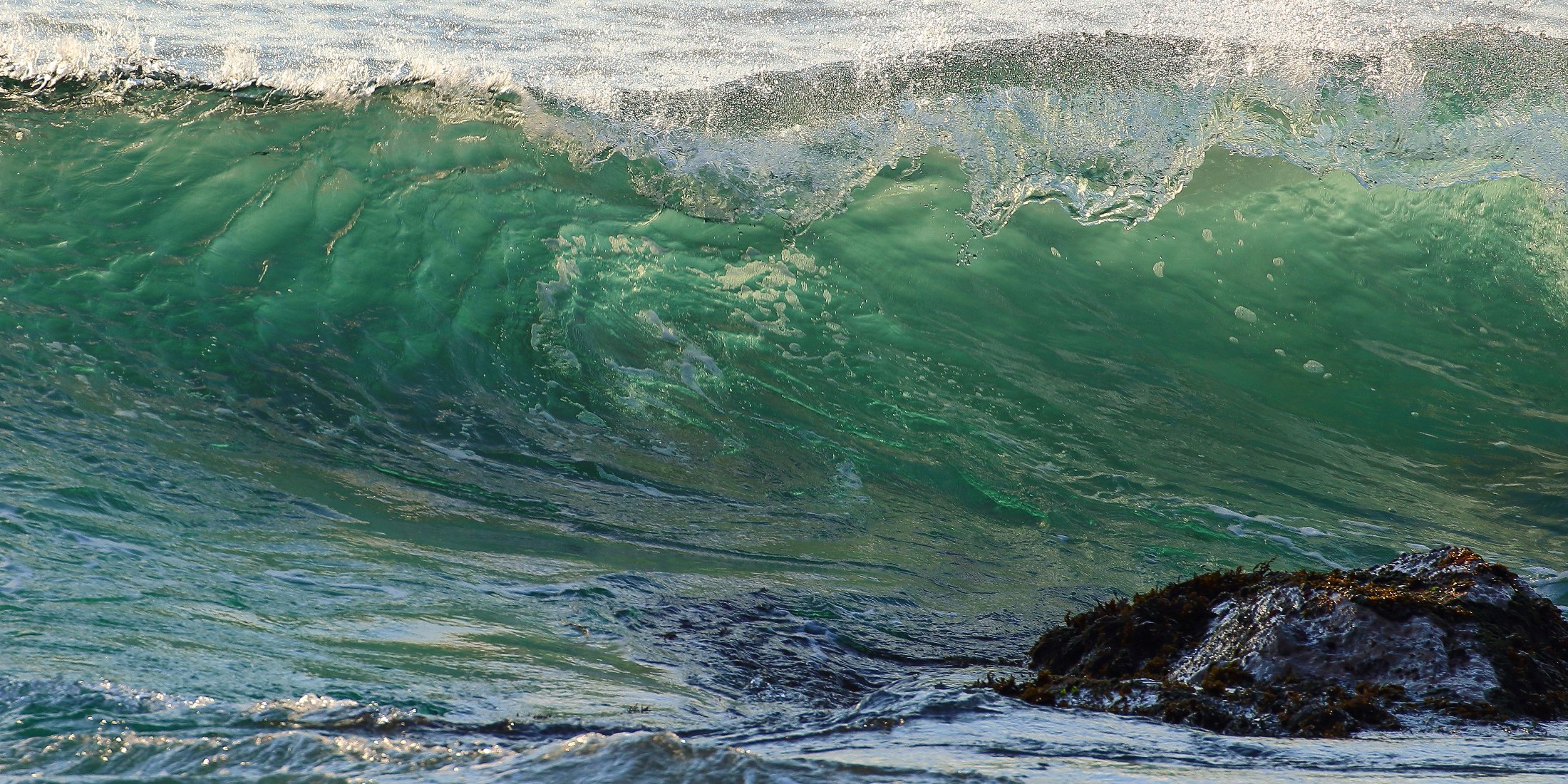 Mt Maunganui,d-239-.jpg