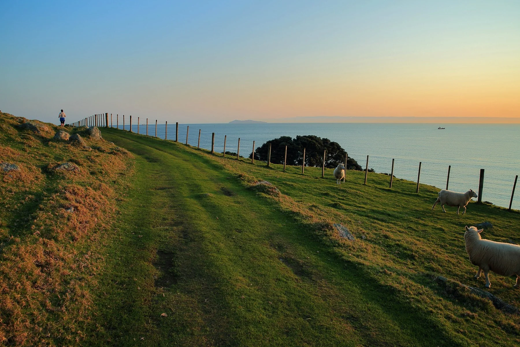 Mt Maunganui,d-244-.jpg