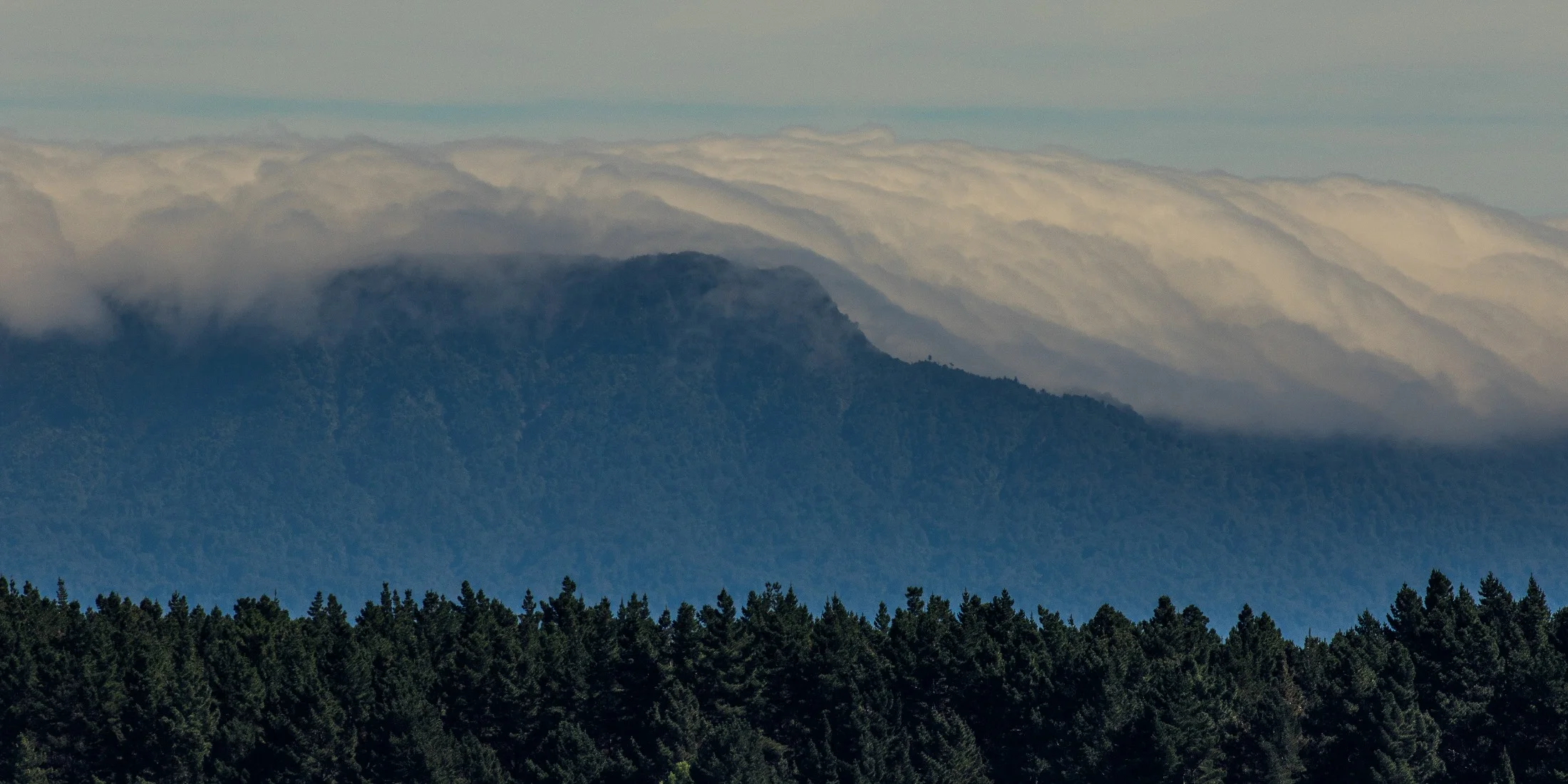 Mt Maunganui,Kaimai Ranges,-3183d.jpg