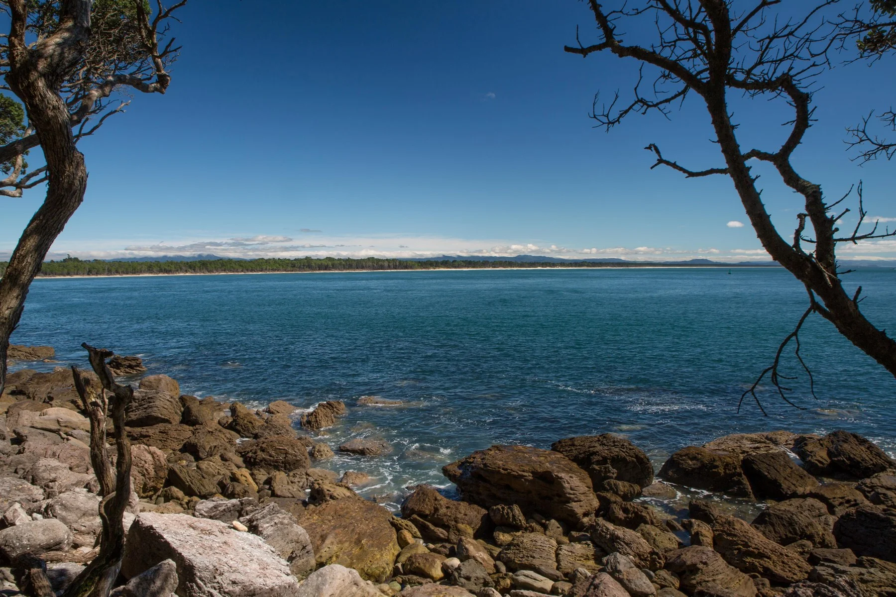 Mt Maunganui,Matakana Is,-4542d.jpg