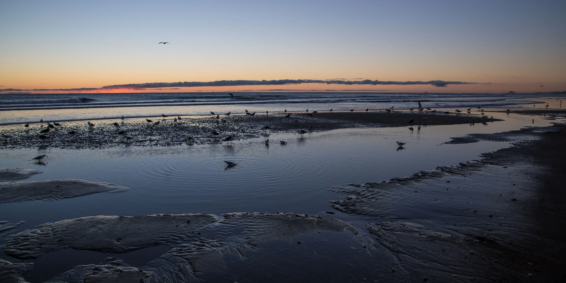 Waihi Beach,-4477d.jpg