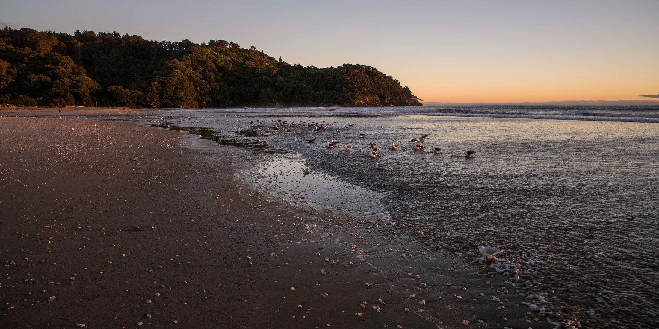 Waihi Beach,-4490d.jpg