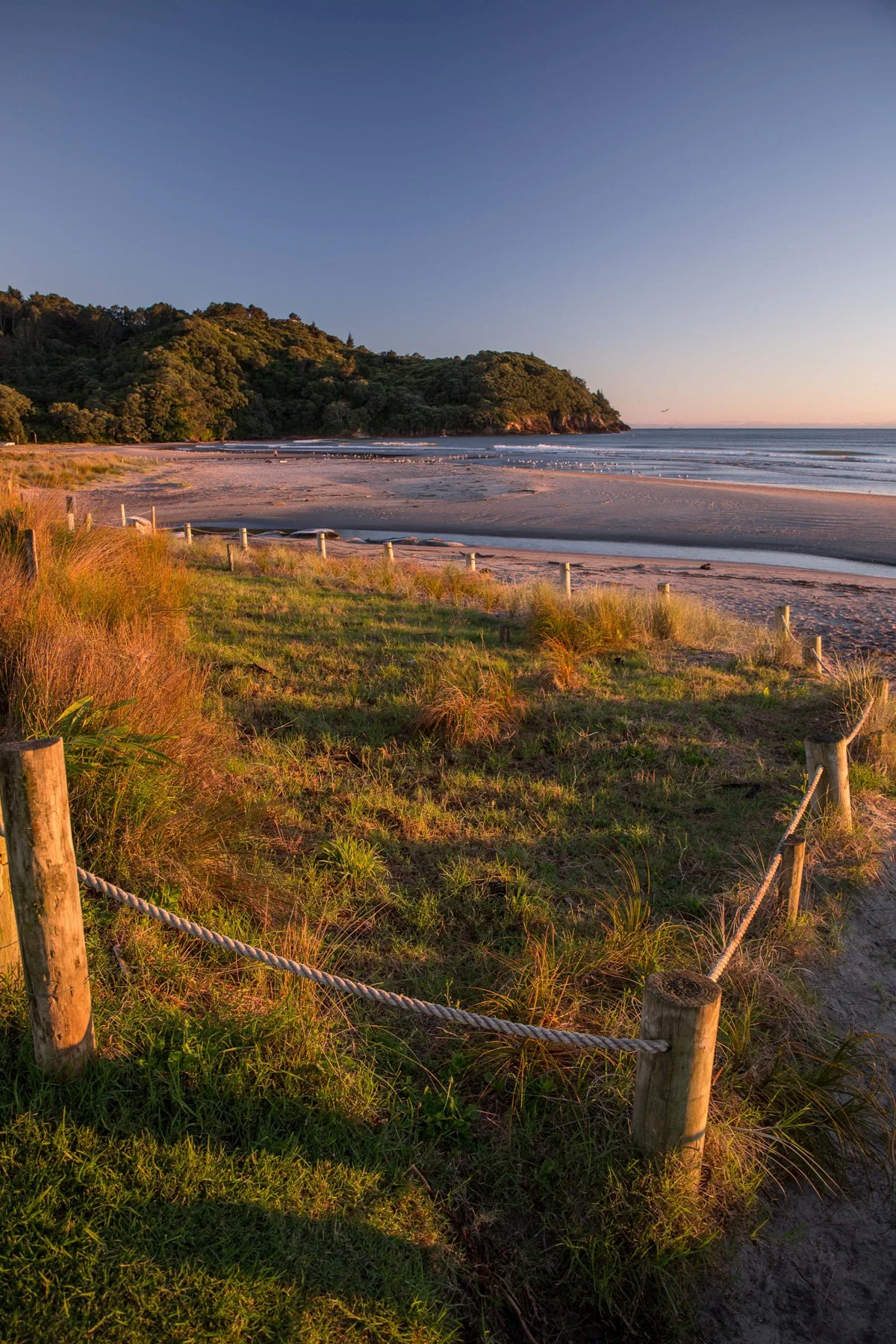 Waihi Beach,-4504d.jpg