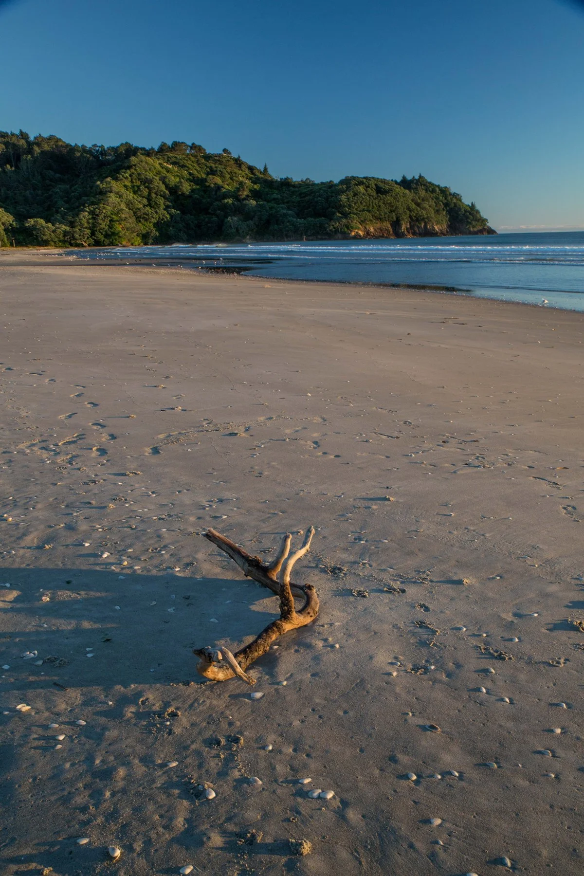 Waihi Beach,-4522d.jpg