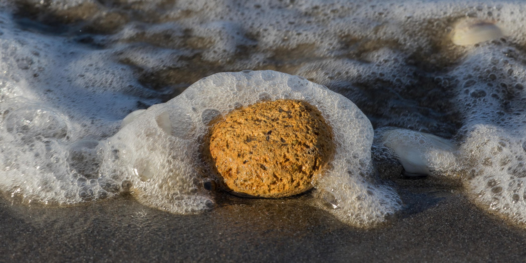 Waihi Beach,d-3133.jpg