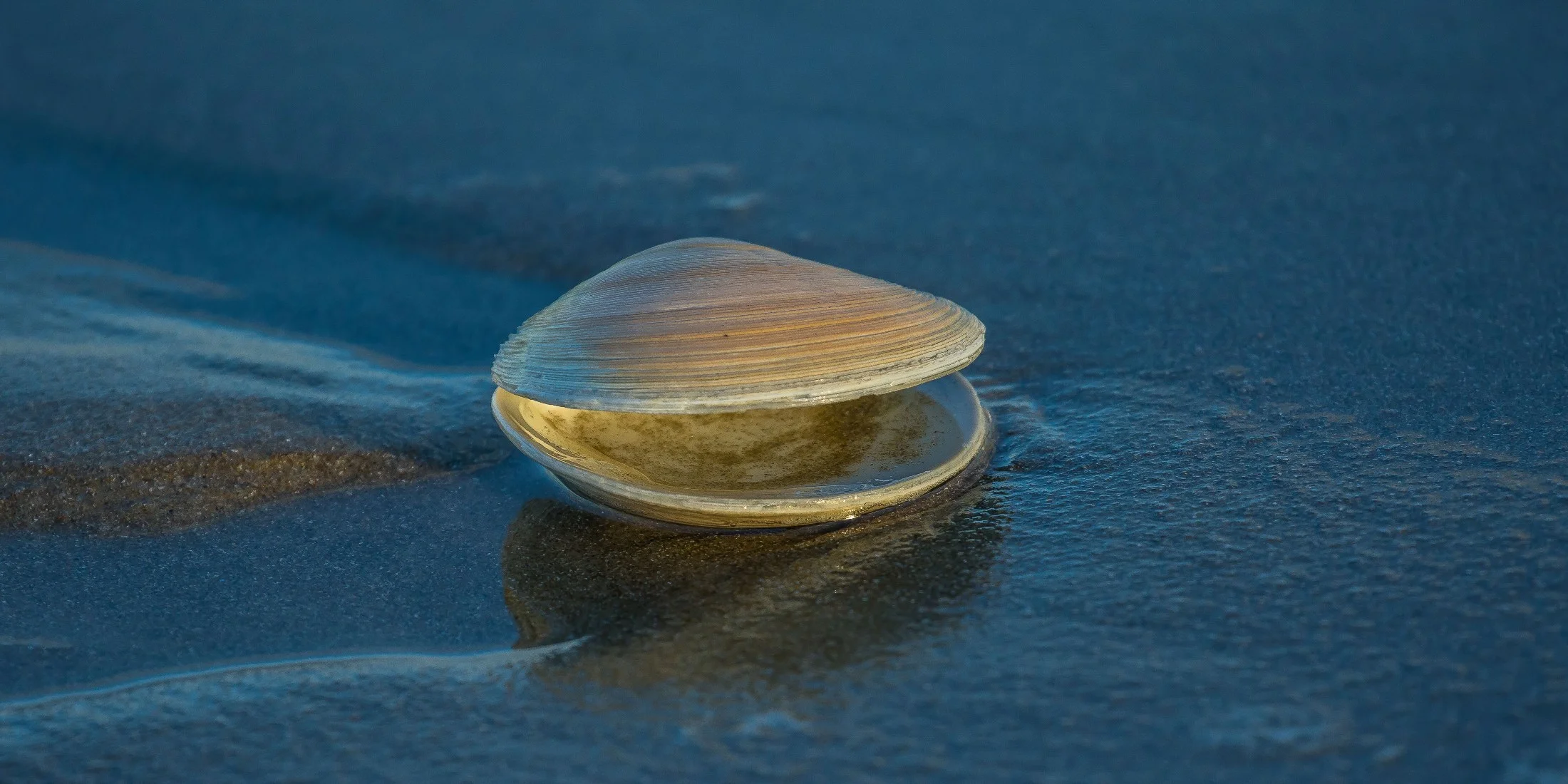 Waihi Beach,d-3148.jpg