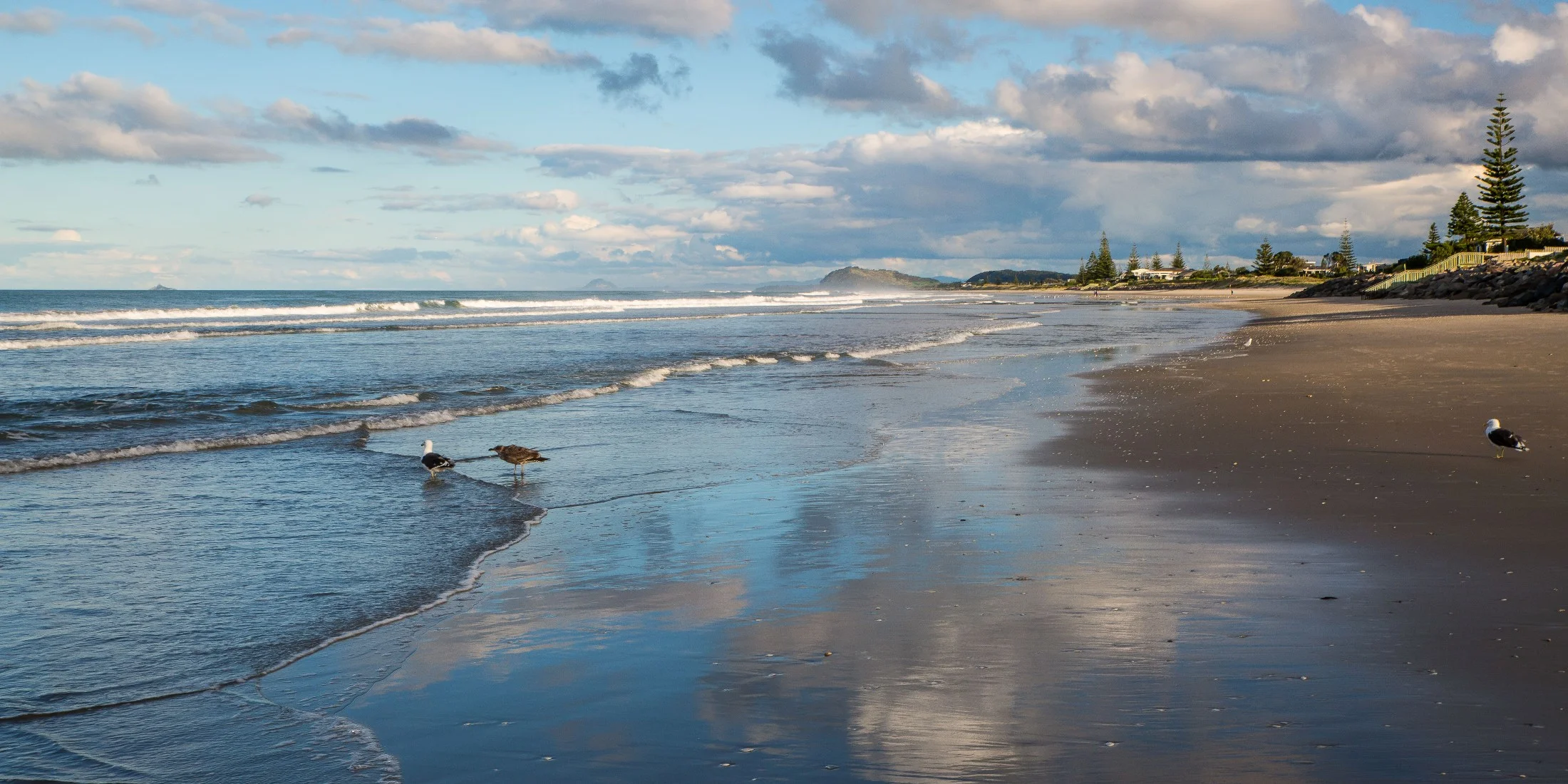 Waihi Beach,d-4439.jpg