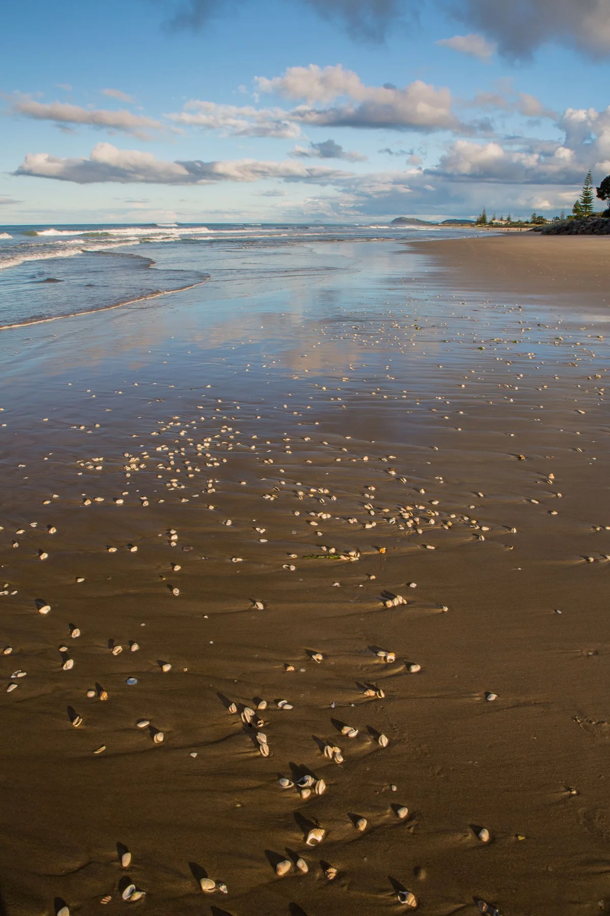 Waihi Beach,d-4443.jpg