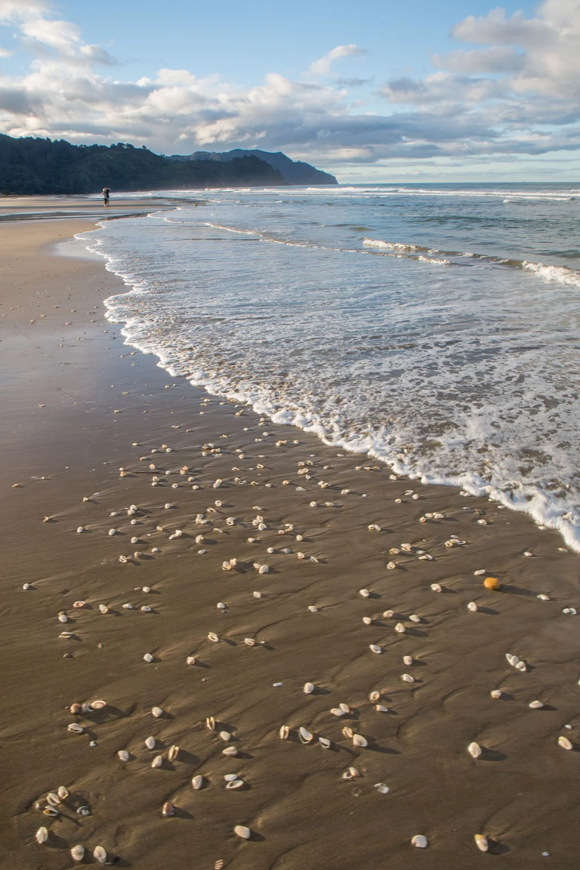 Waihi Beach,d-4444.jpg