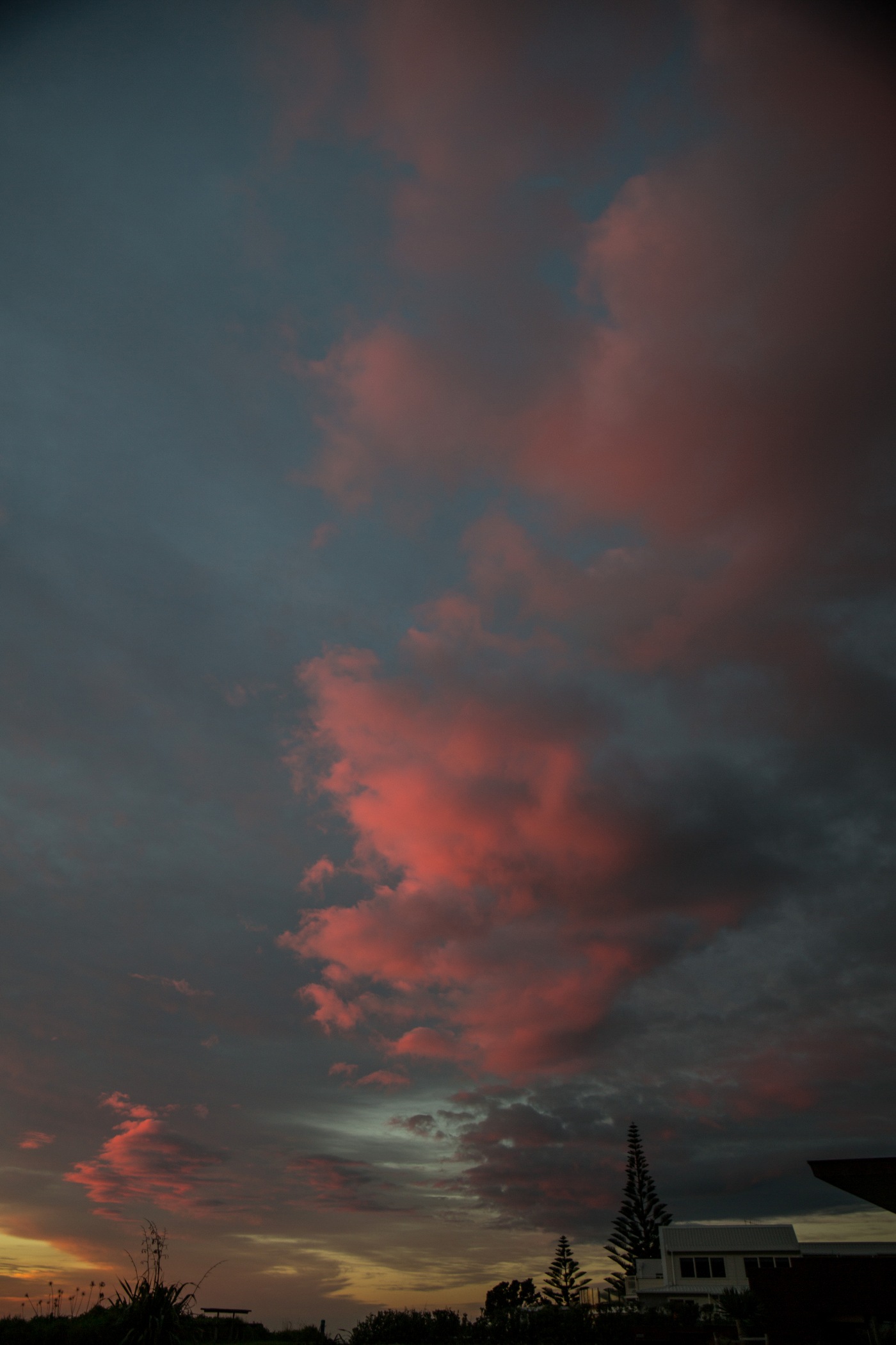 Waihi Beach,d-4658.jpg