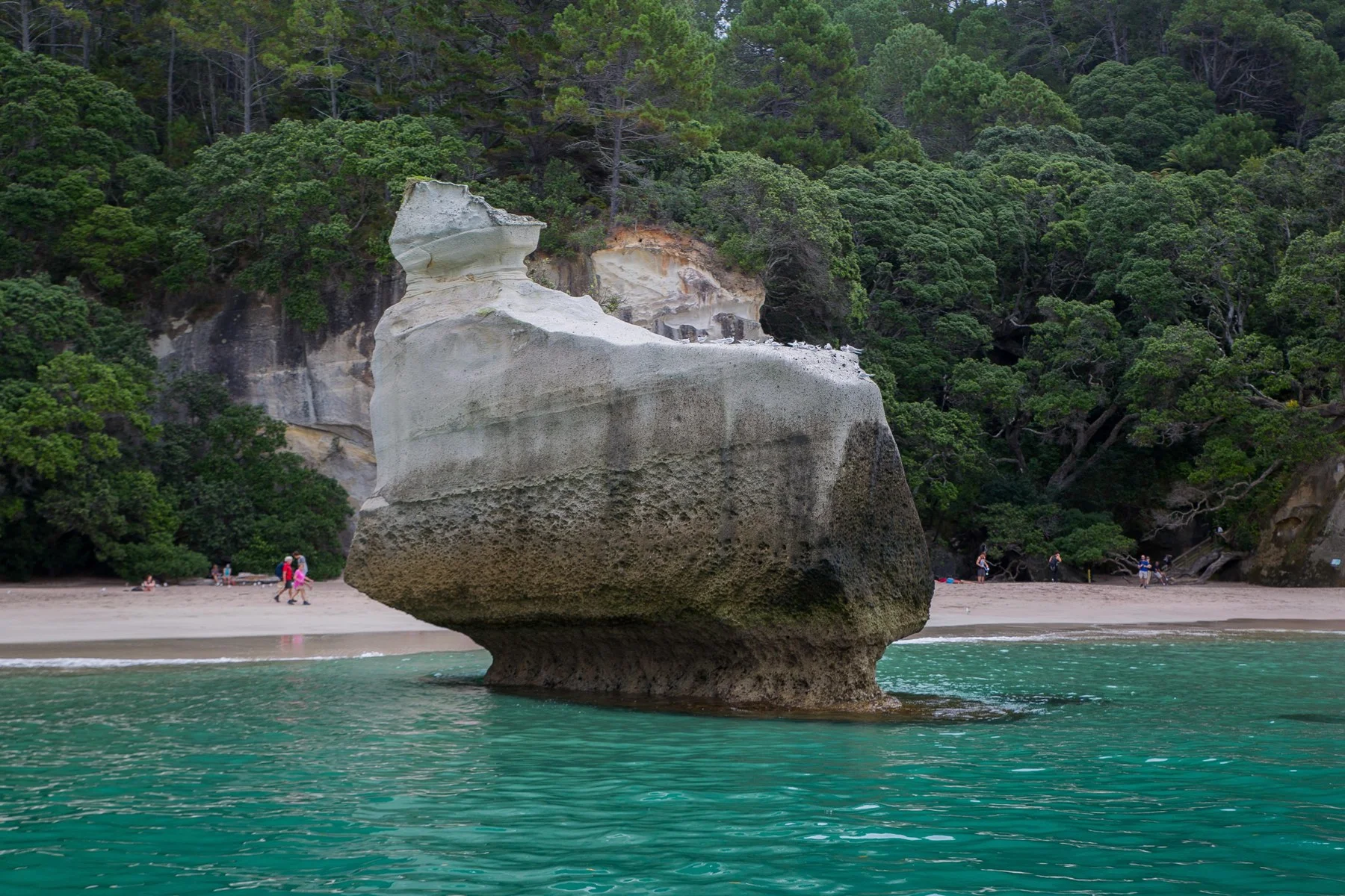 Cathedral Cove,d-792.jpg