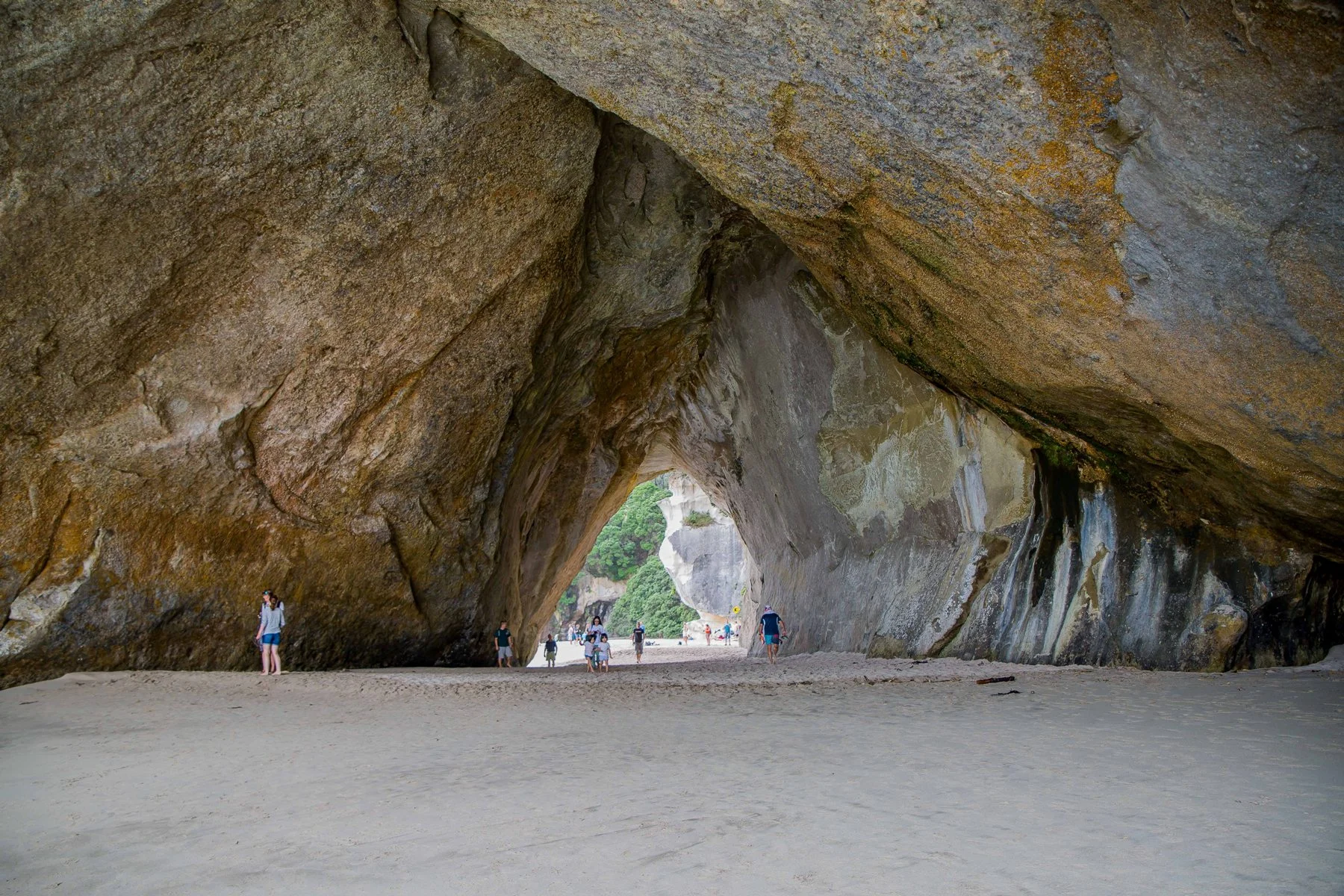 Cathedral Cove,d-798.jpg