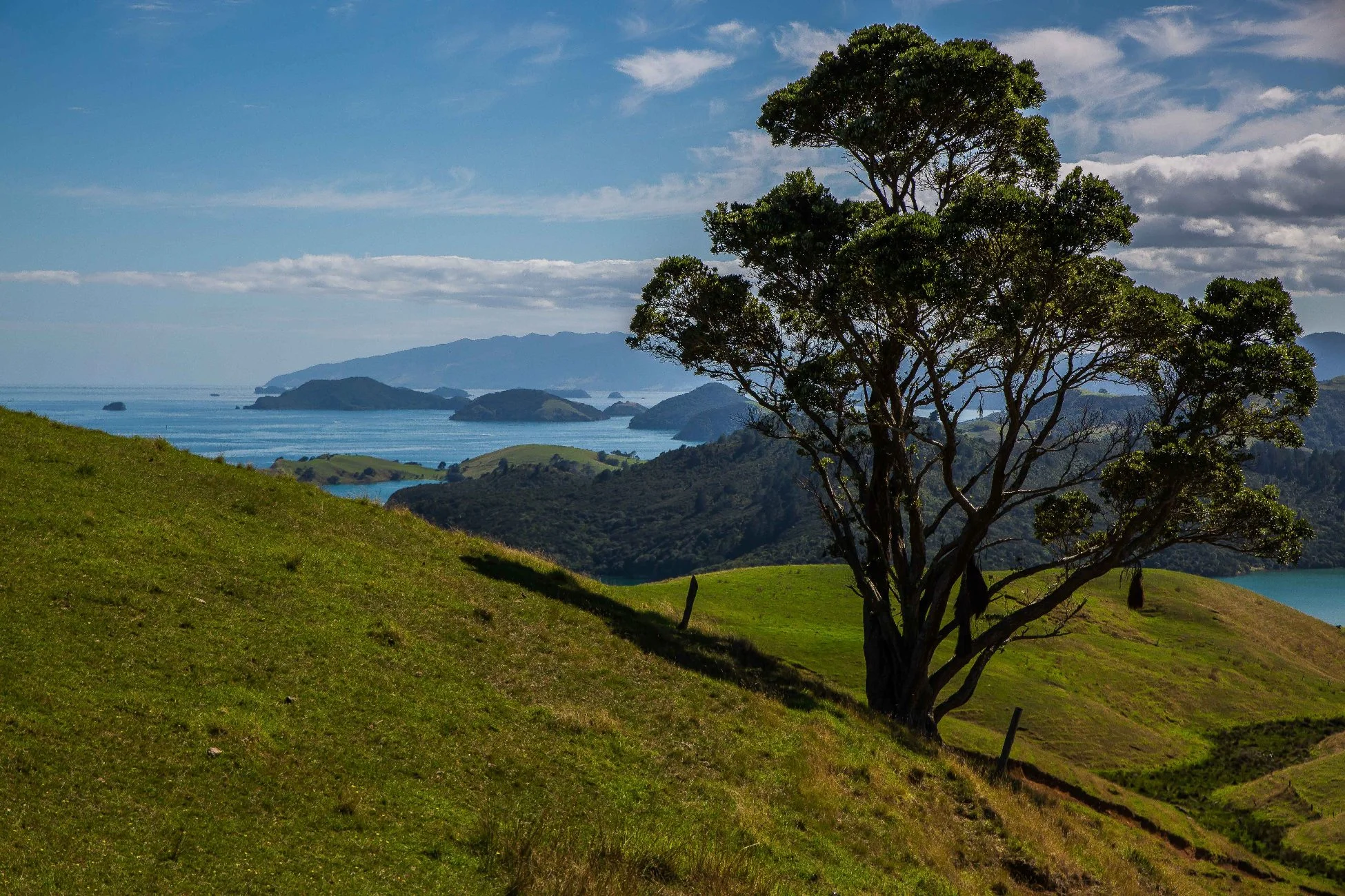 Coromandel,d-1140.jpg