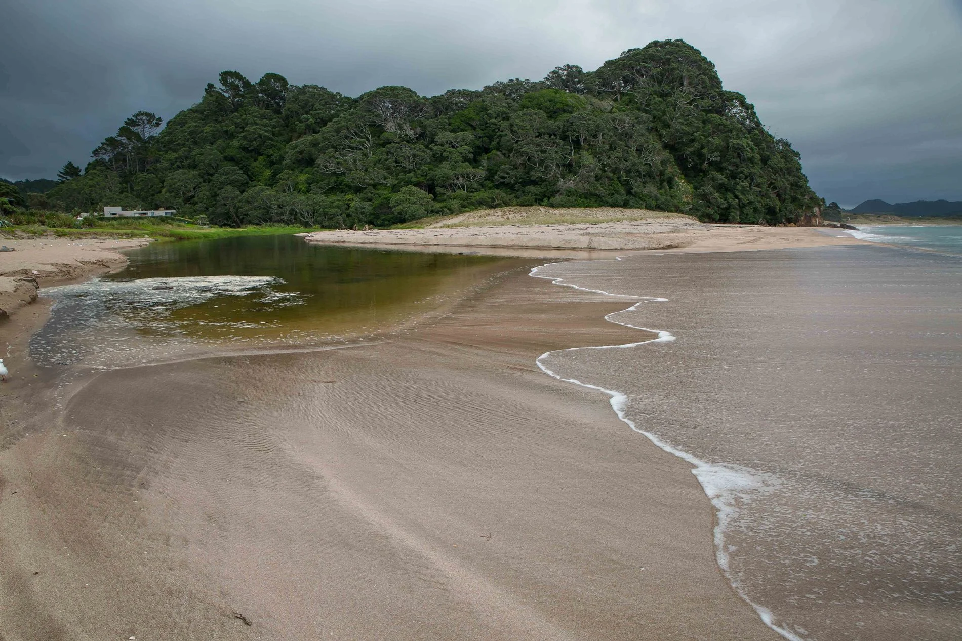 Hot Water beach,d-752.jpg