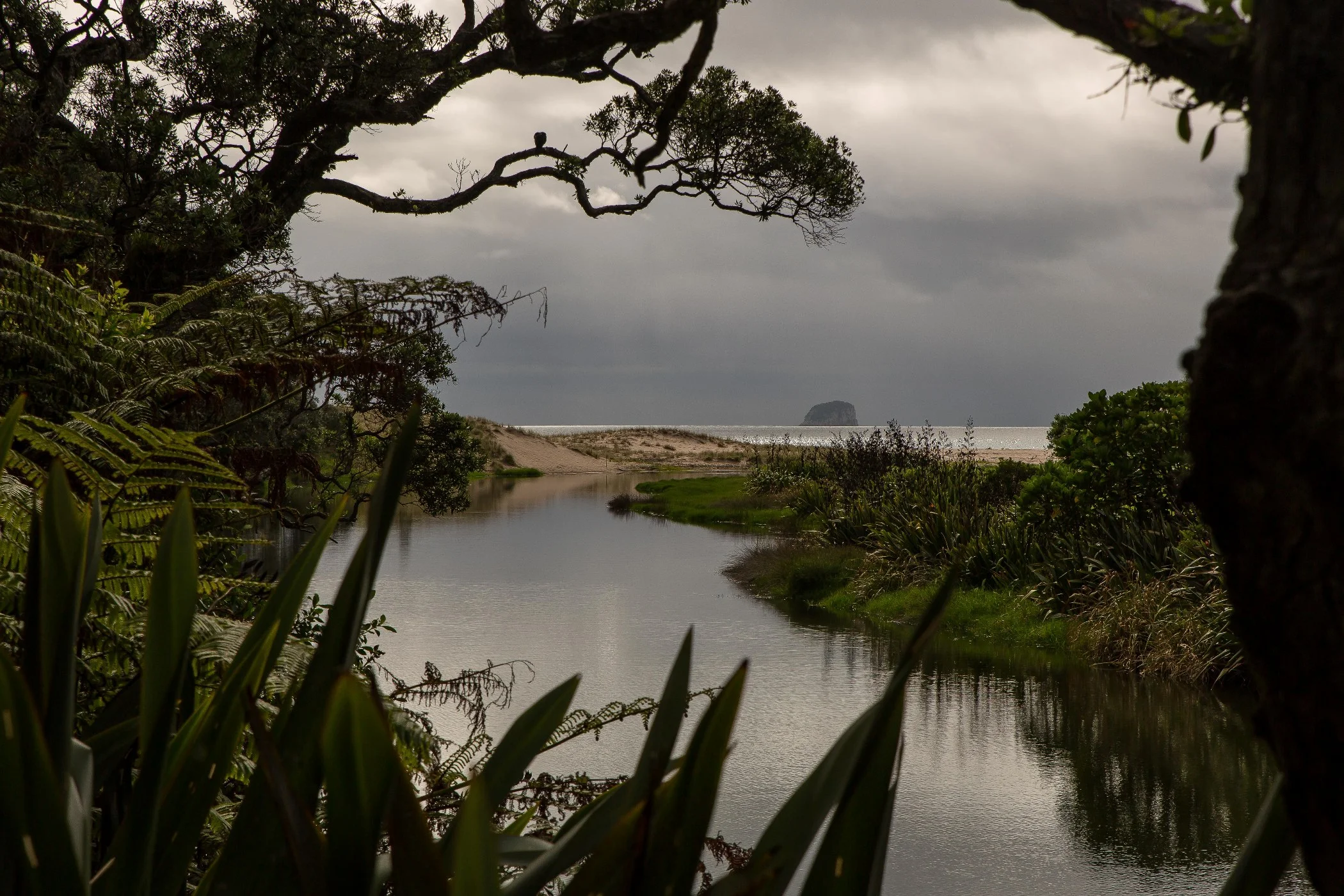 Hot Water beach,d-769.jpg