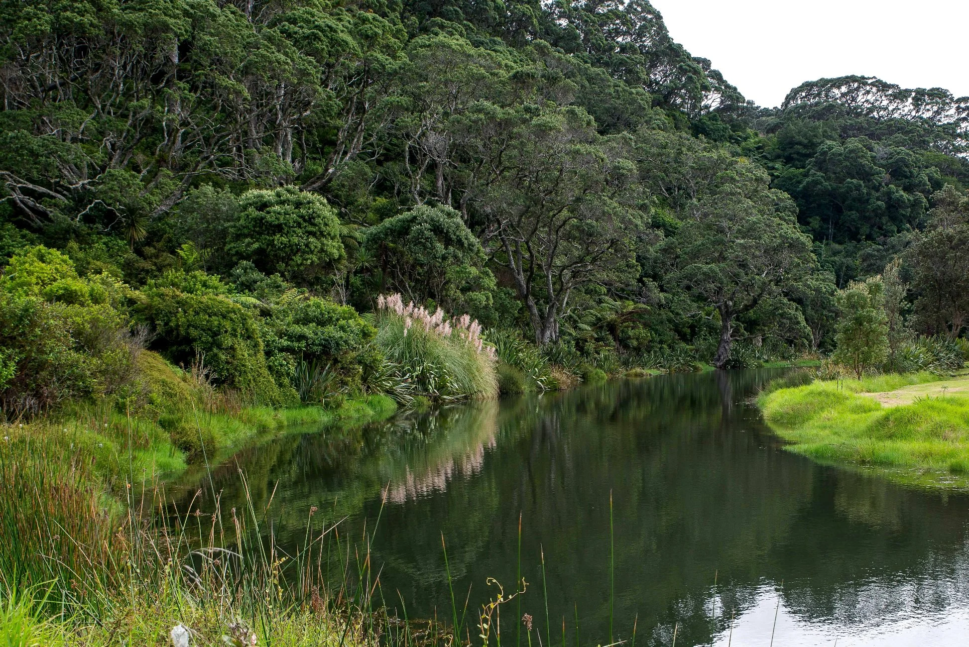 Hot Water beach,d-768.jpg