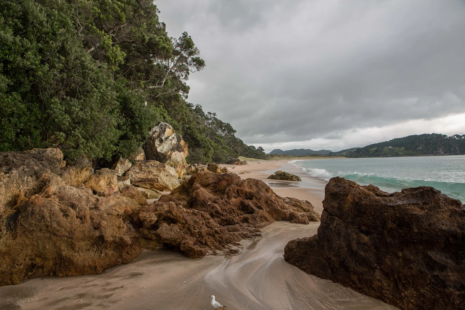 Hot Water beach,d-778.jpg