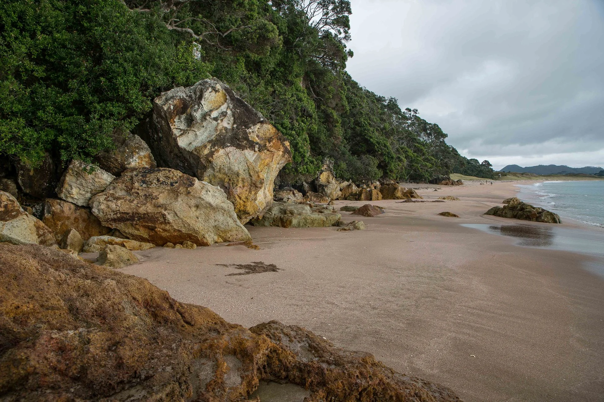 Hot Water beach,d-780.jpg