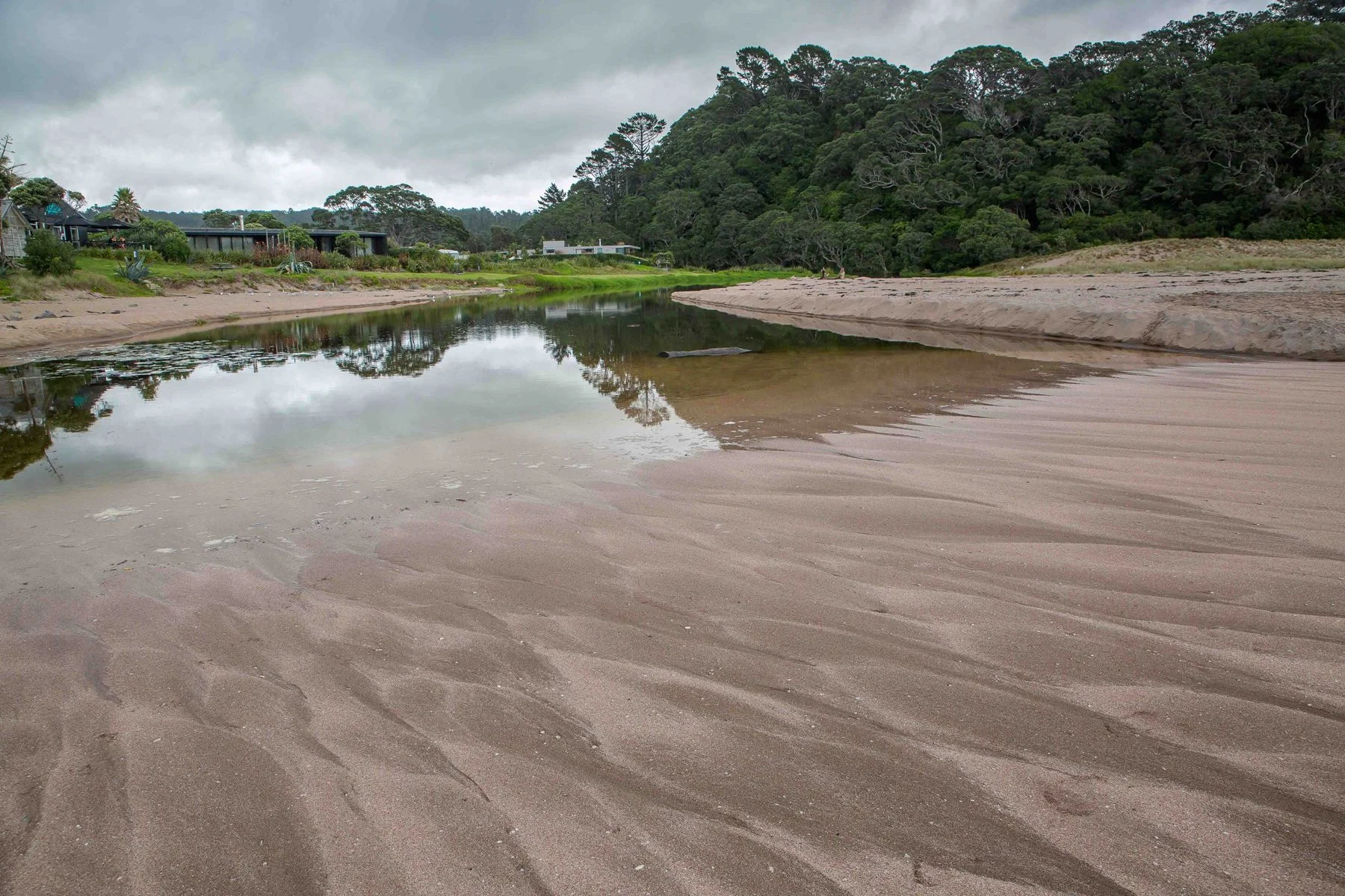 Hot Water beach,d-788.jpg