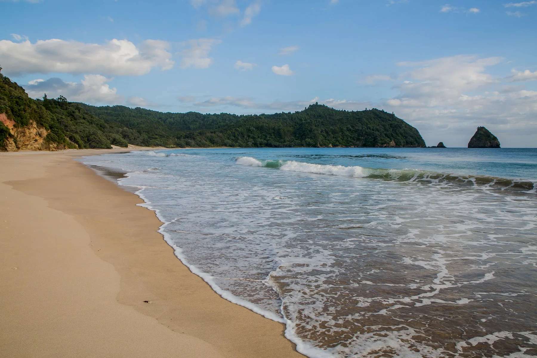 New Chums Beach,d-976.jpg