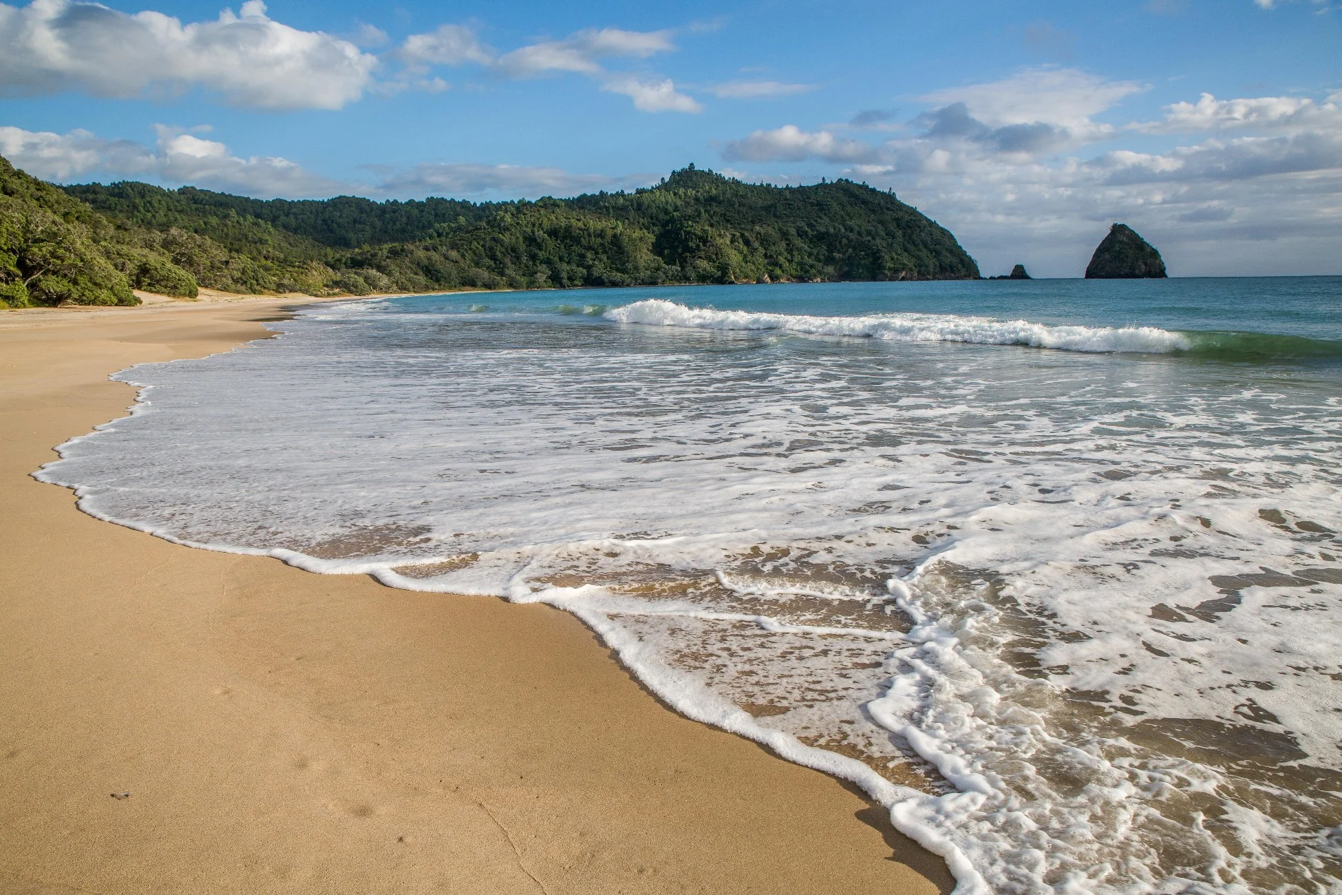 New Chums Beach,d-979.jpg