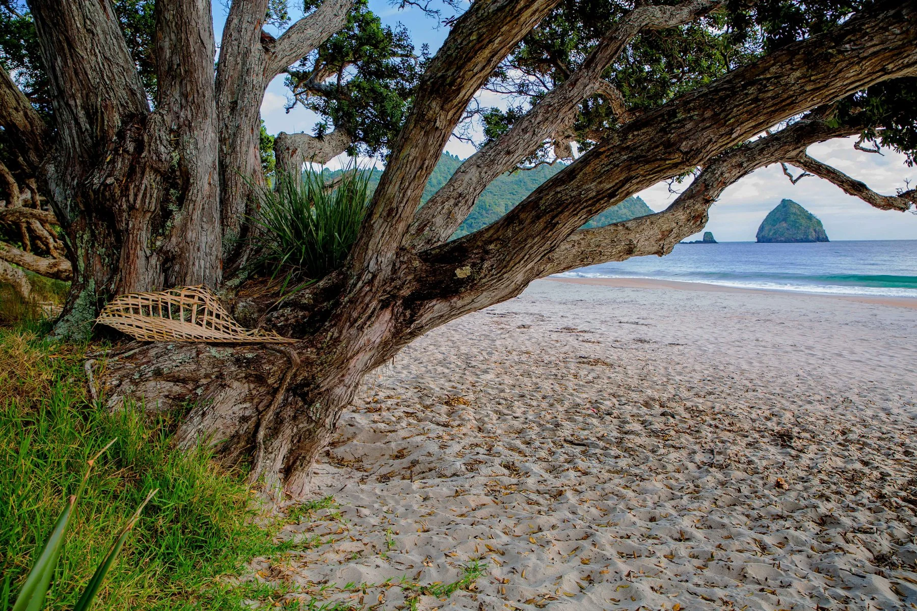 New Chums Beach,d-983.jpg