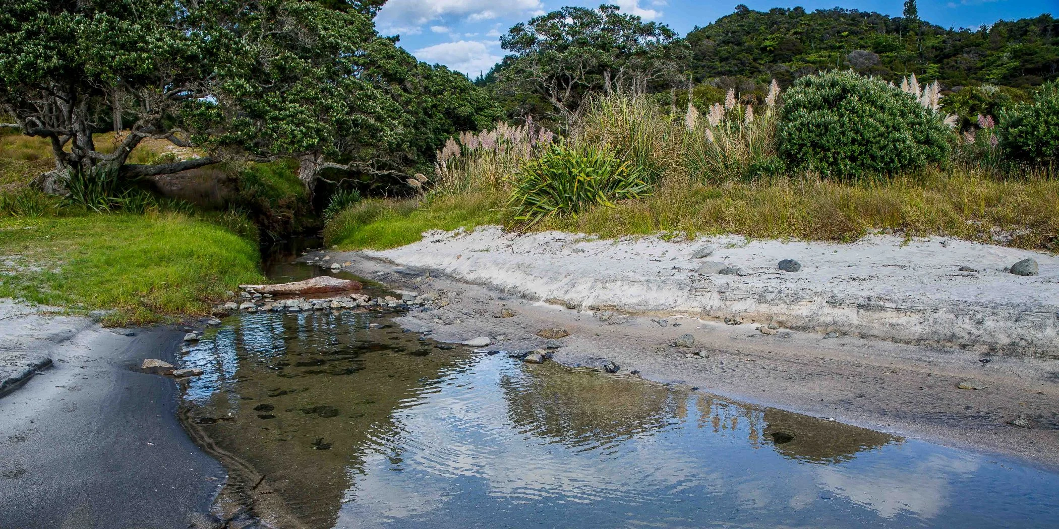 New Chums Beach,d-995.jpg