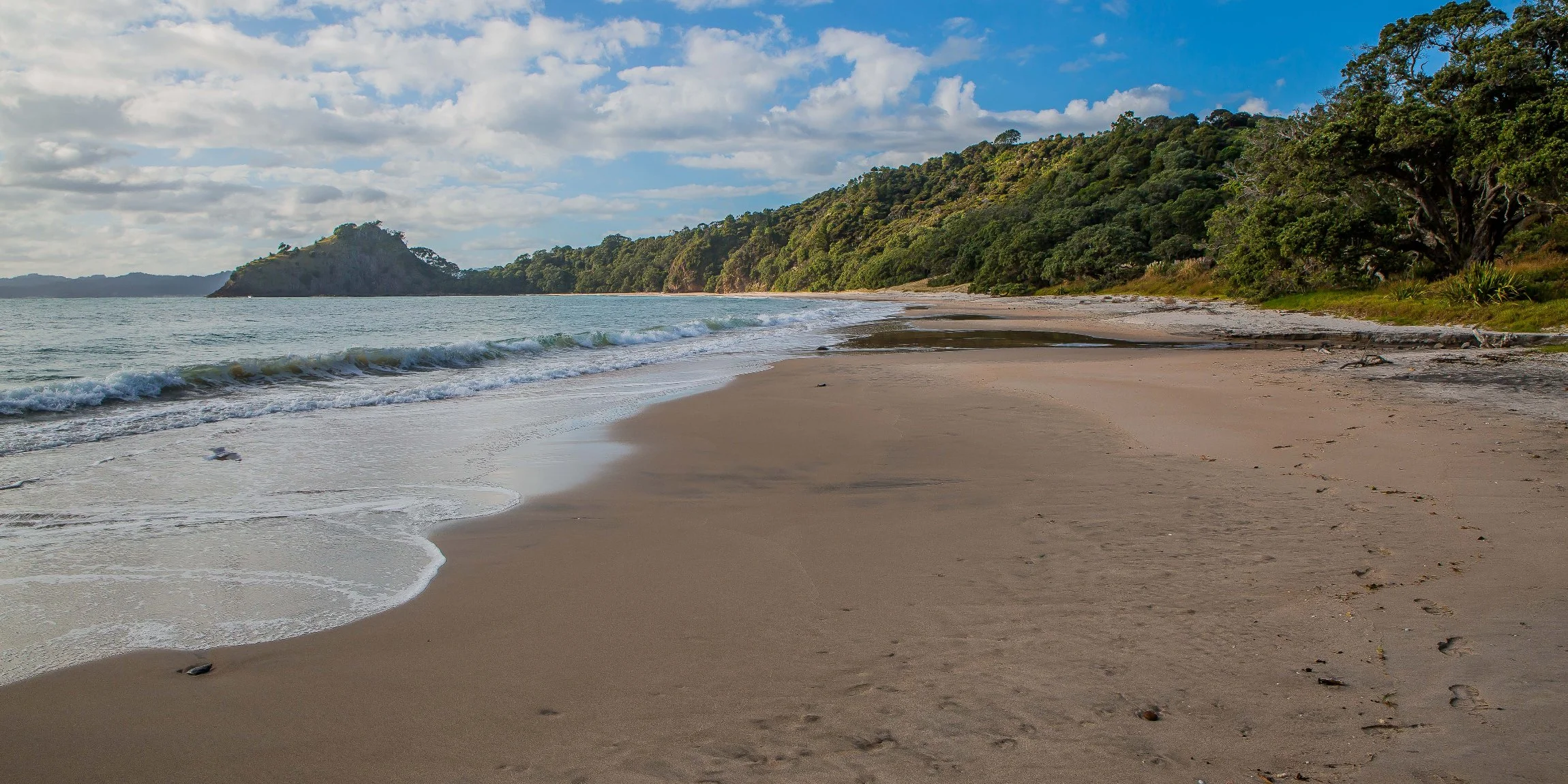 New Chums Beach,d-1003.jpg