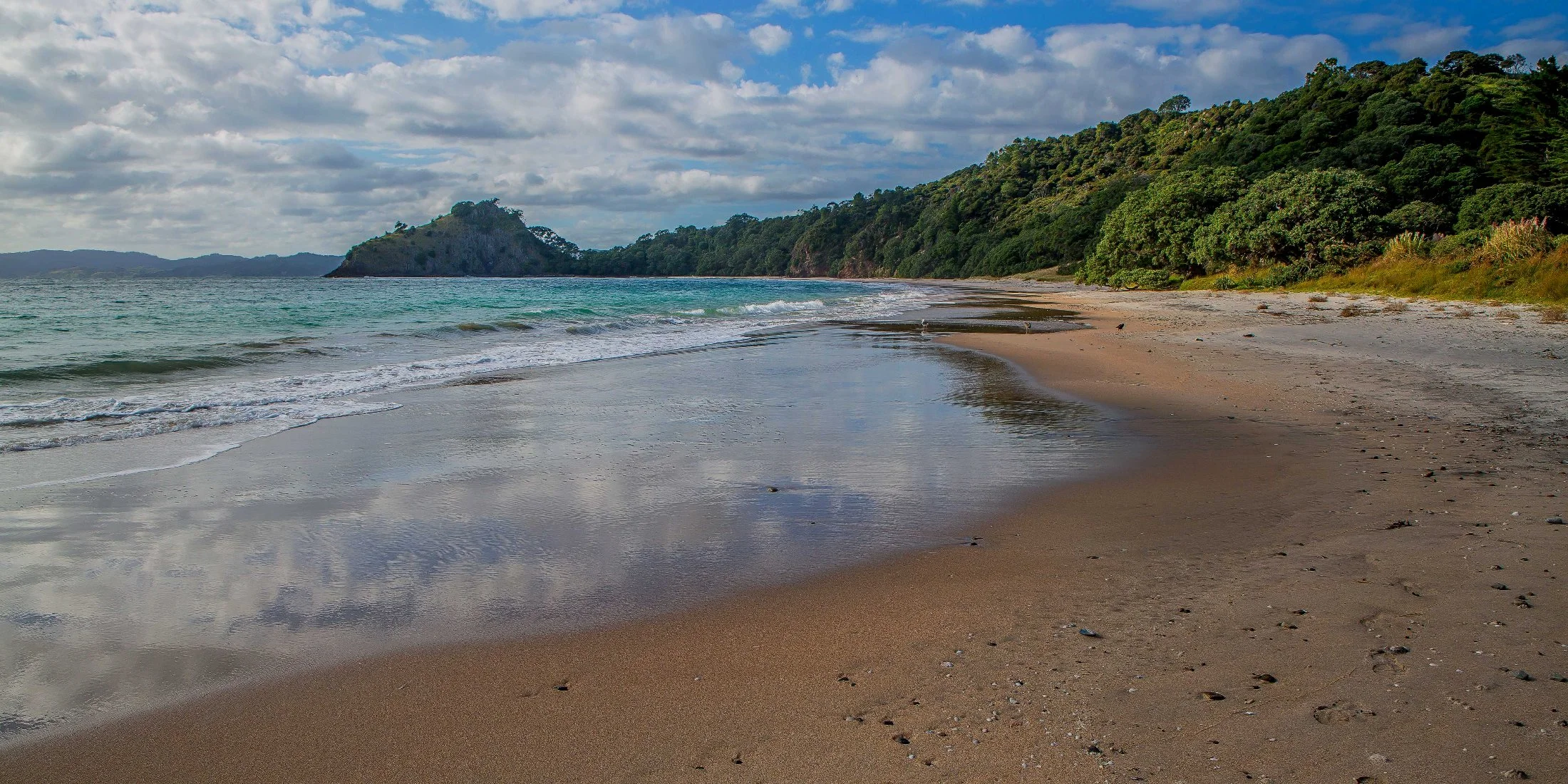 New Chums Beach,d-1011.jpg