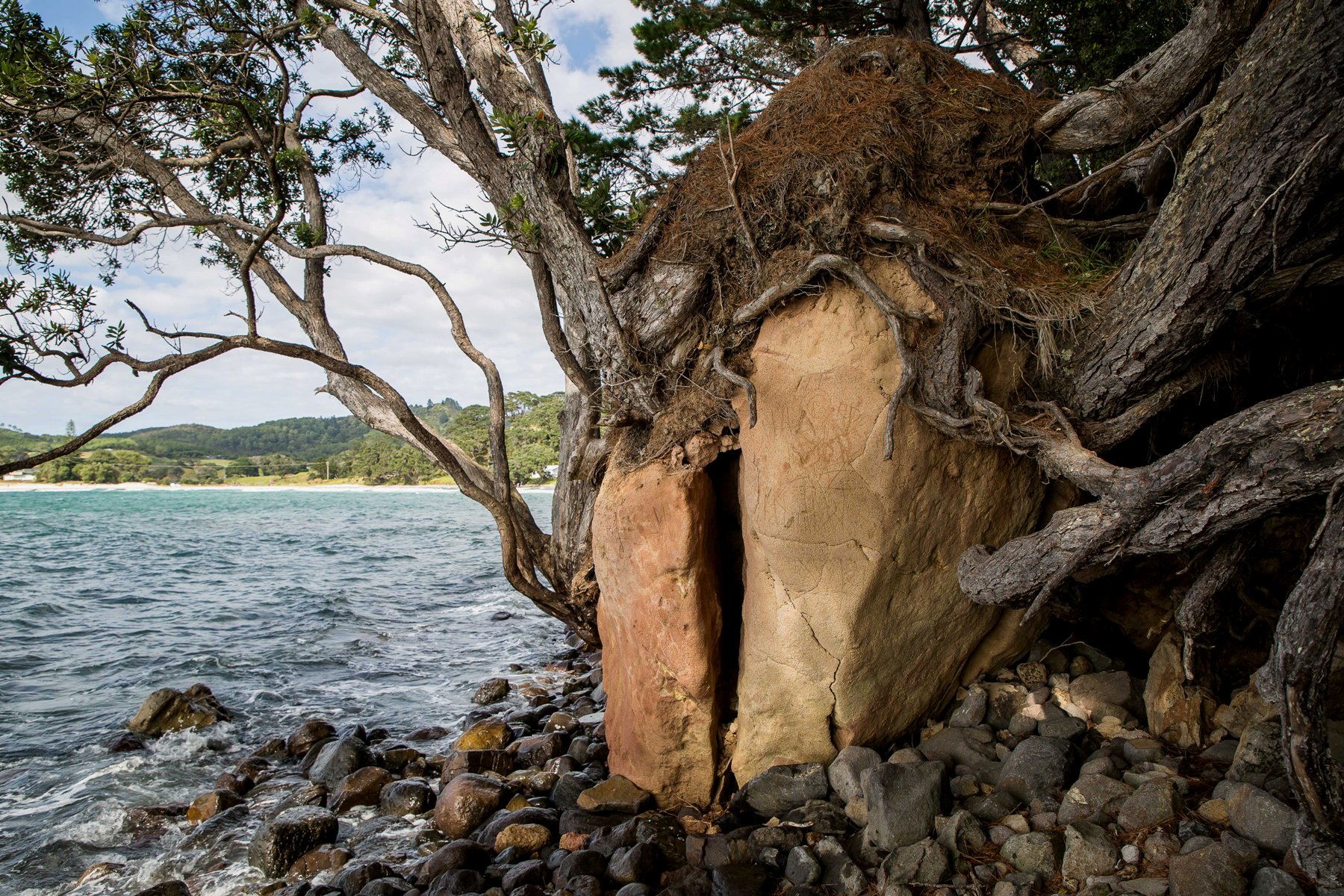 New Chums Beach,d-1022.jpg