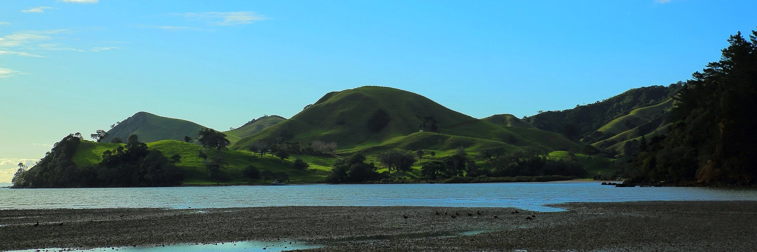 Port Charles,d159,-.jpg