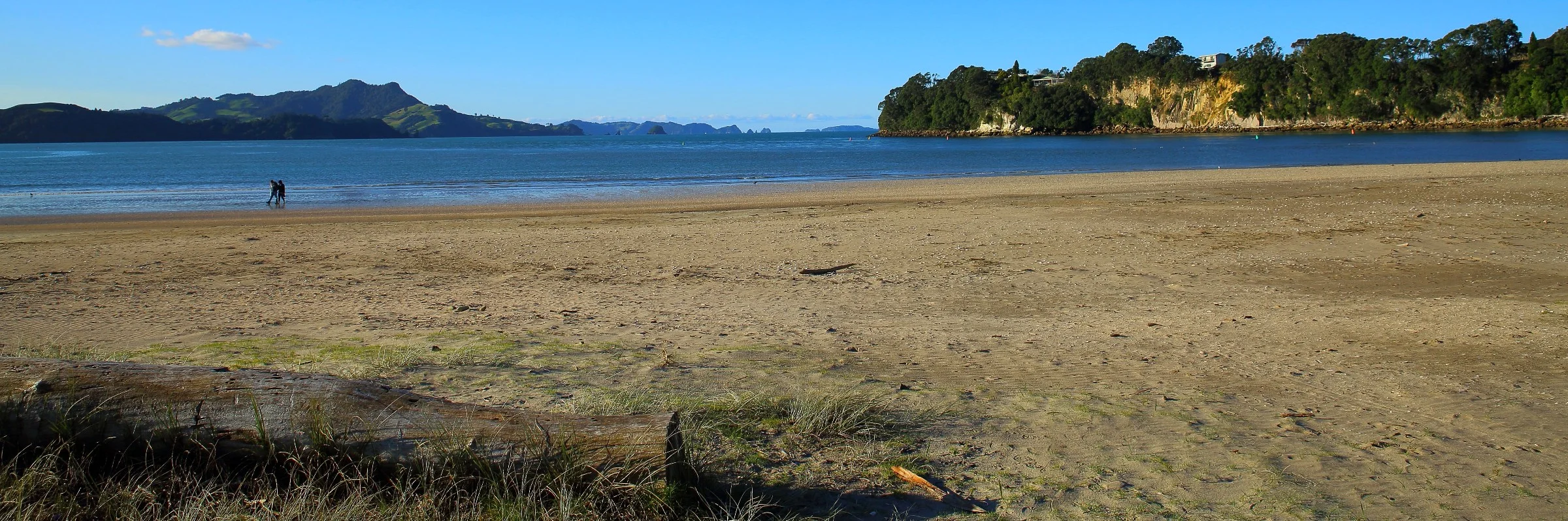 Whitianga,d016,-.jpg