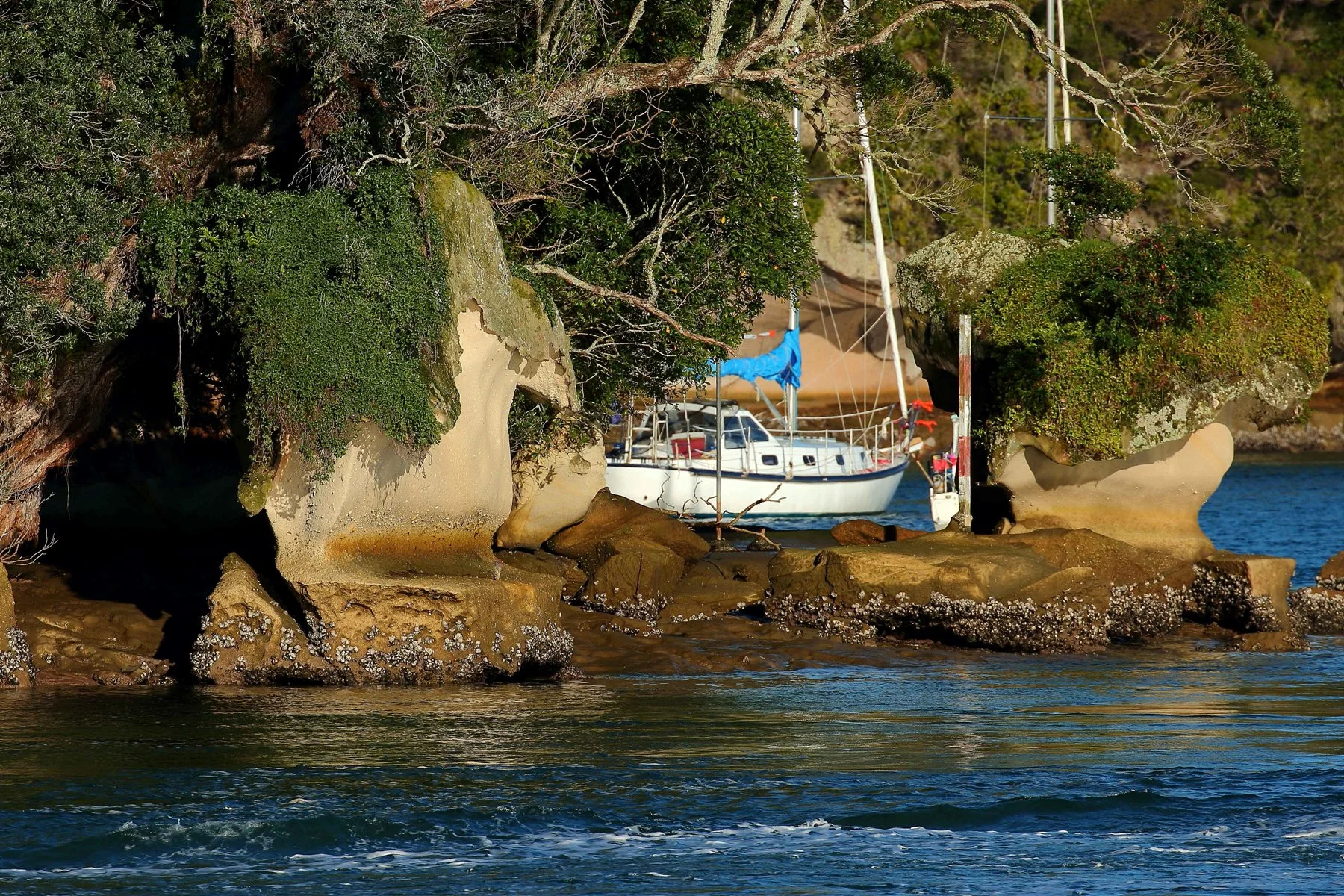 Whitianga,d050,-.jpg