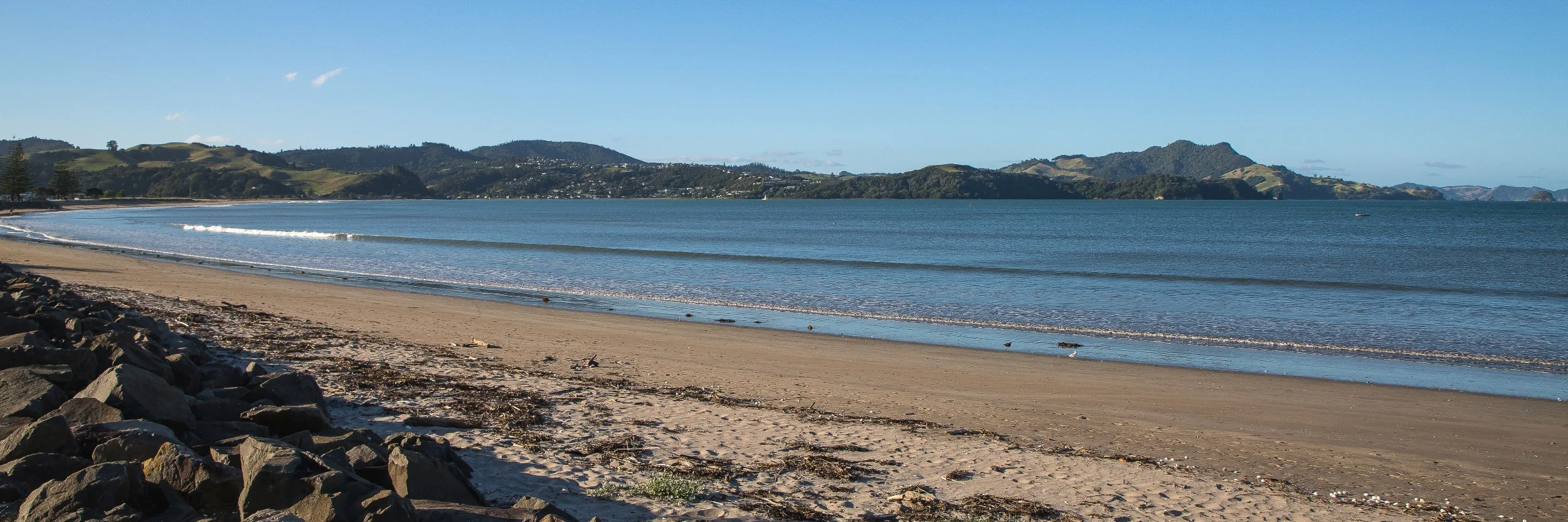 Whitianga,d-711.jpg