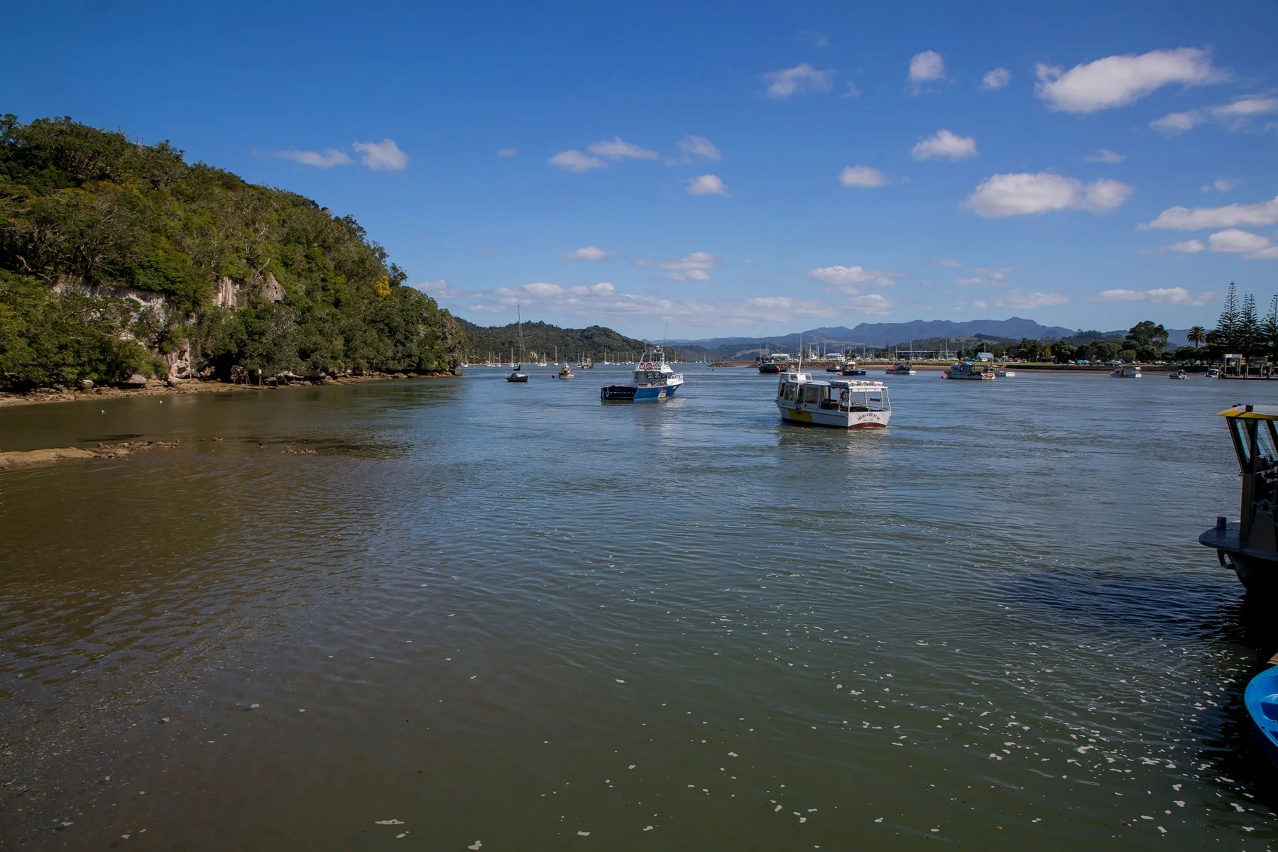 Whitianga,d-1032.jpg