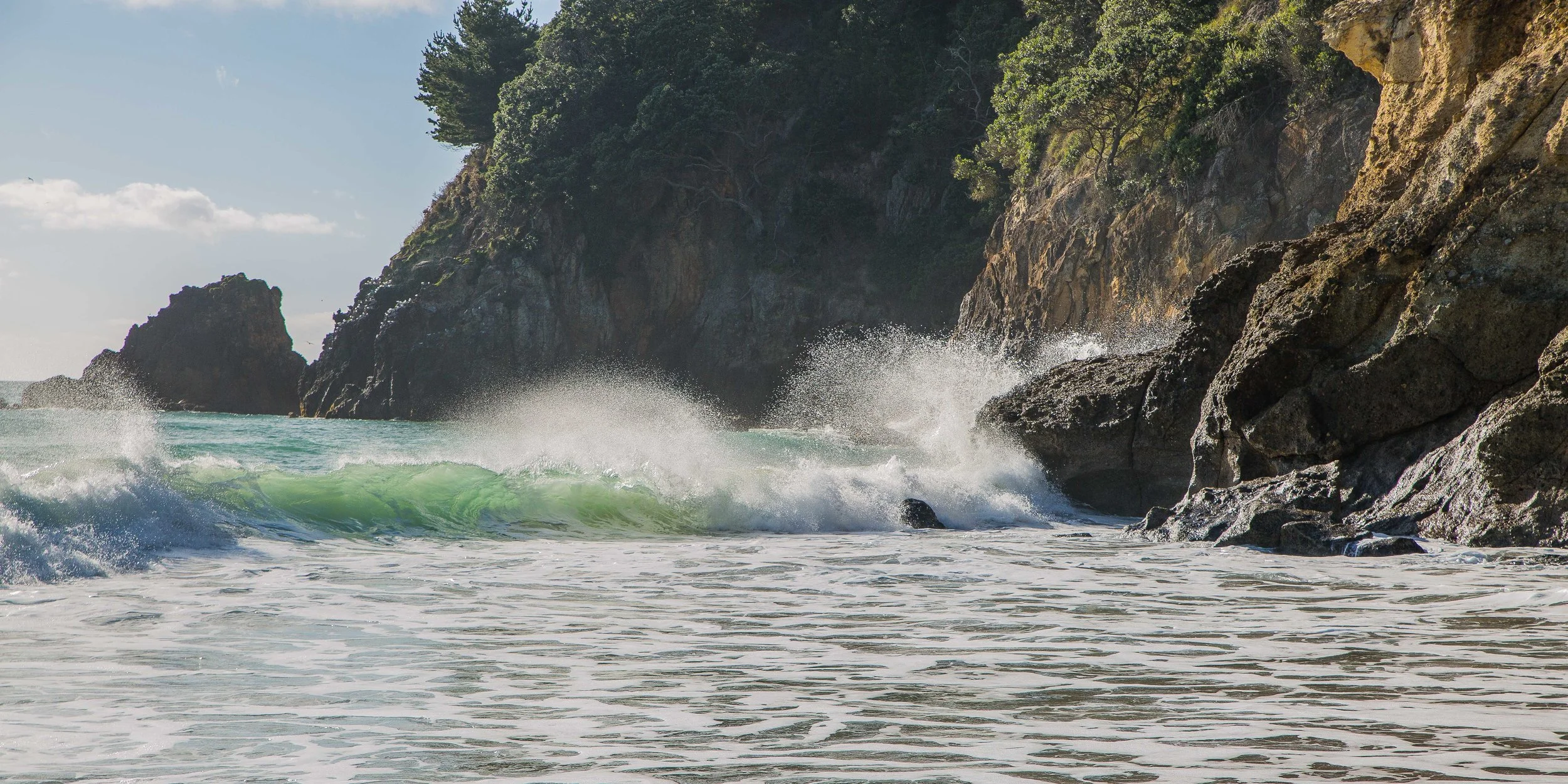 Orokawa Bay,-239.JPG