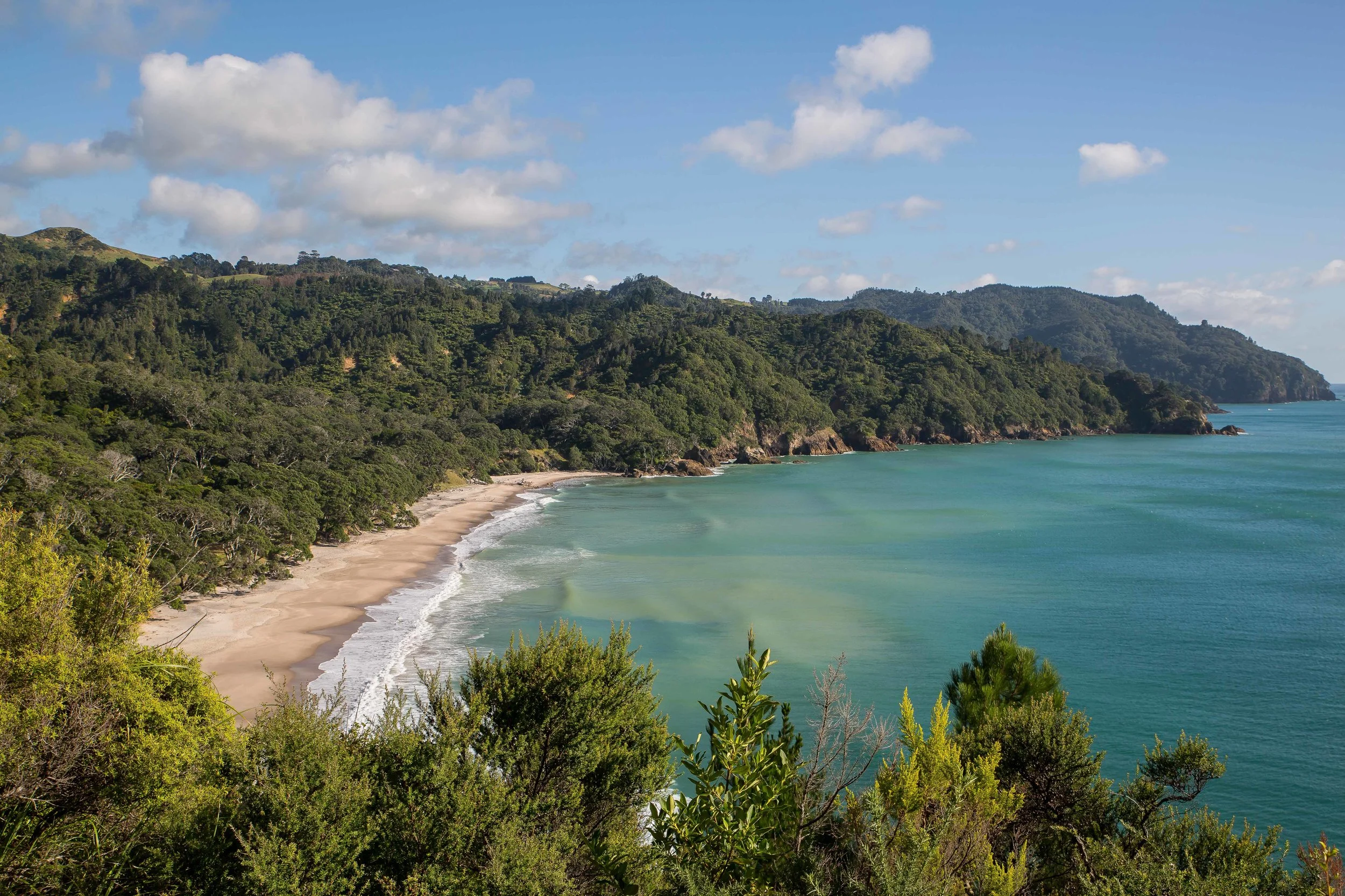 Orokawa Bay,-245.JPG