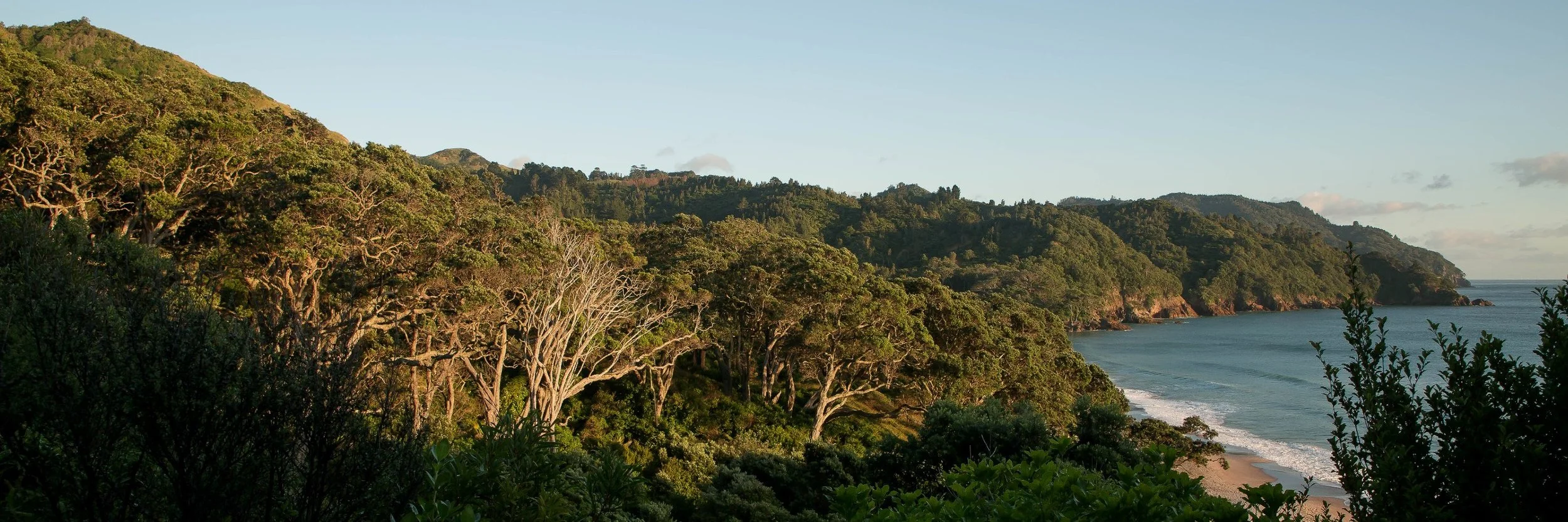 Orokawa Bay,d-069.jpg