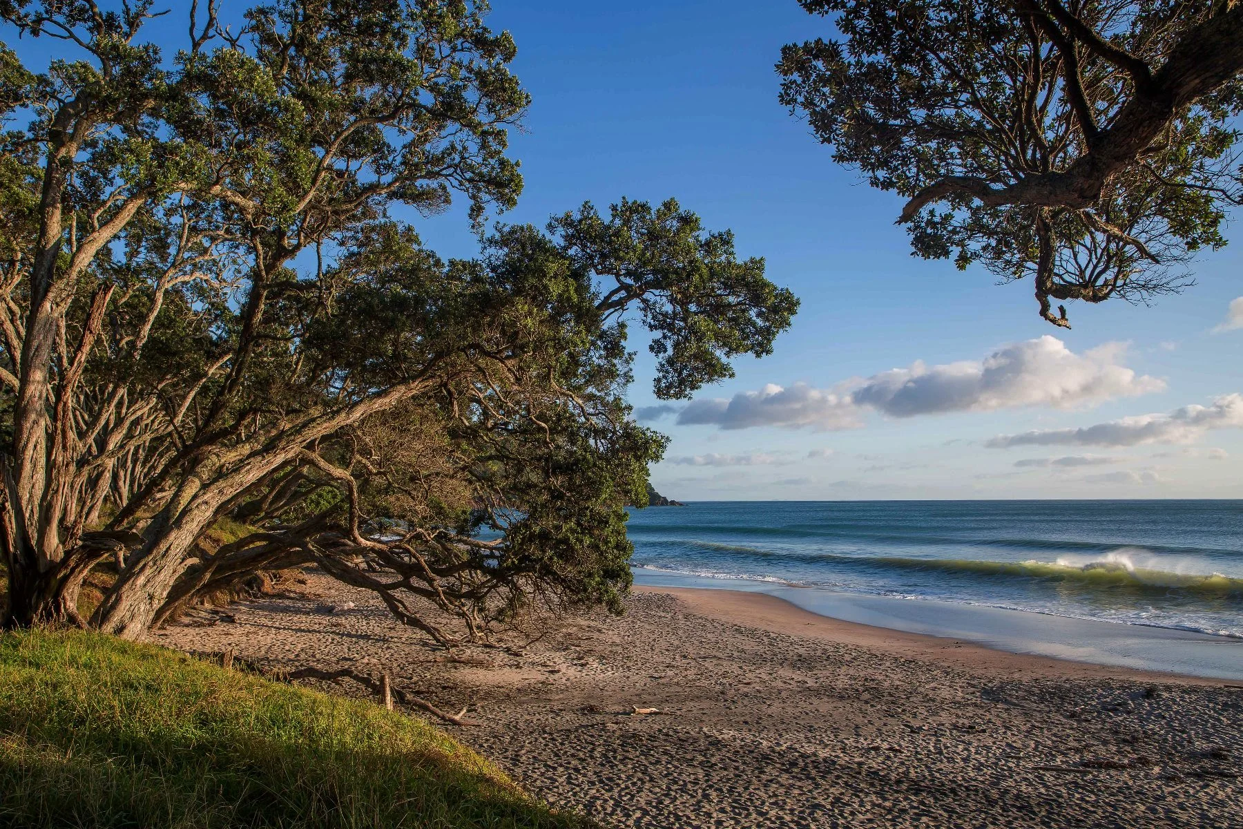 Orokawa Bay,d-082.jpg