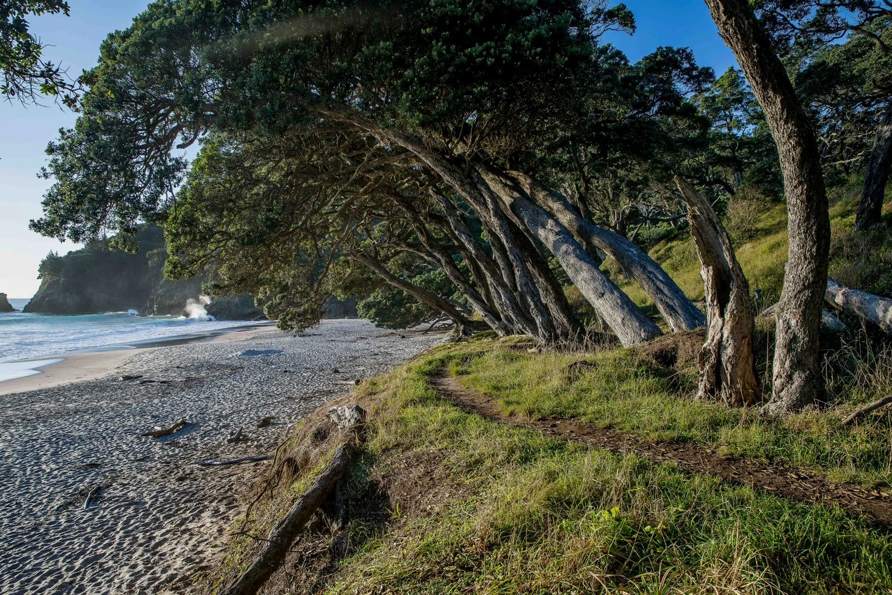 Orokawa Bay,d-093.jpg