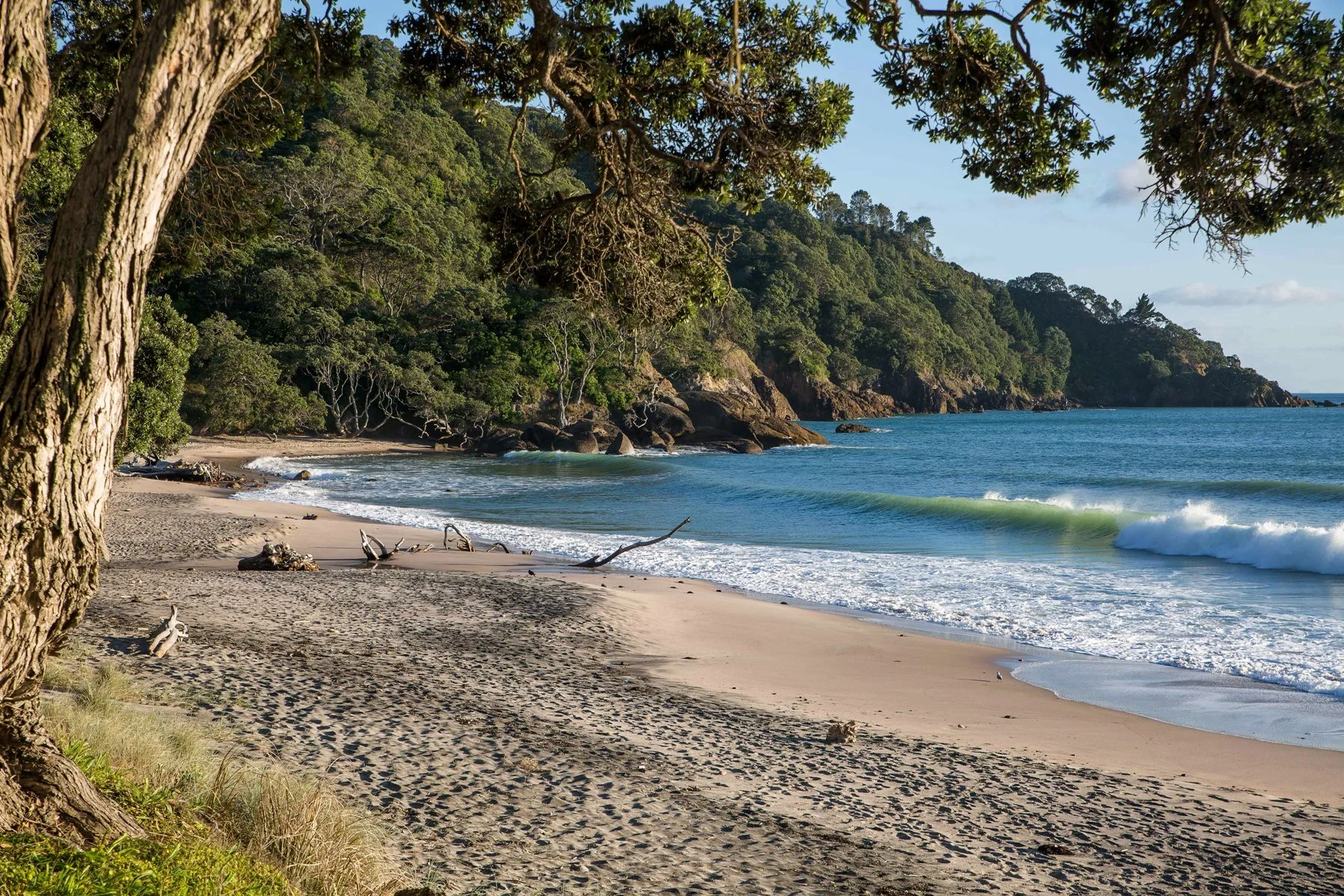 Orokawa Bay,d-107.jpg